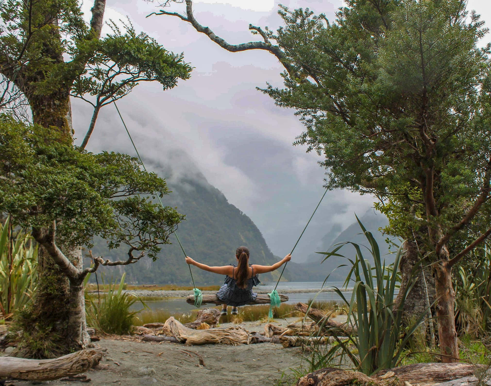 Milford Sound, tree swing, misty fjord, Full HD Desktop Wallpaper