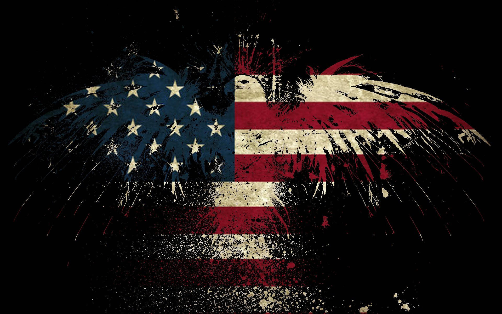 American flag, bald eagle, black background, Full HD Desktop Wallpaper