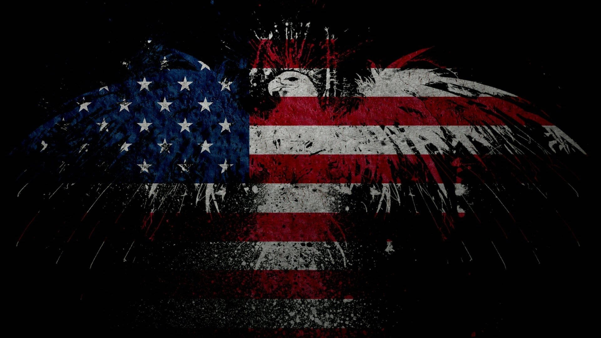American flag, bald eagle, black background, Full HD Desktop Wallpaper