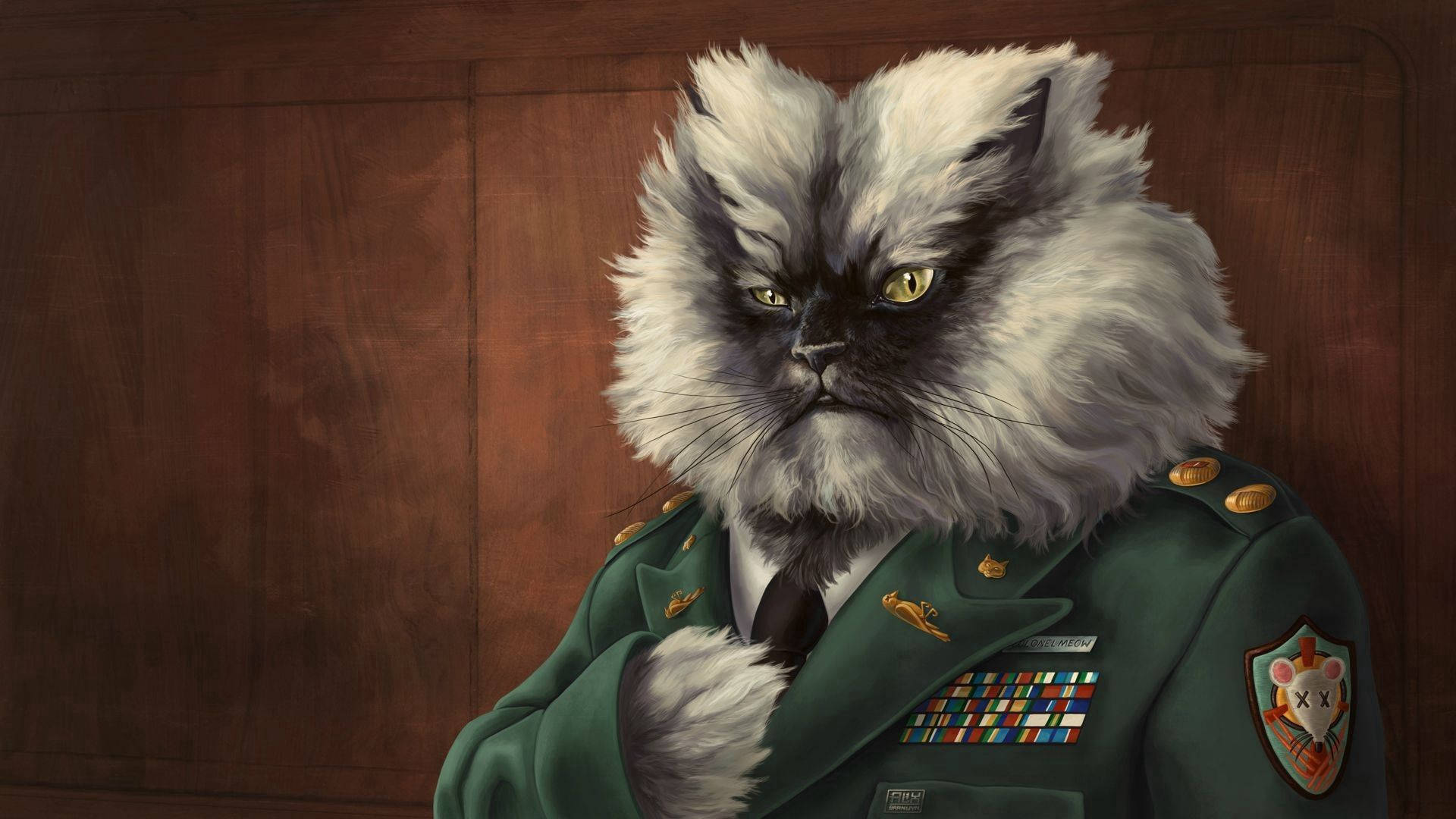 fluffy cat, green military uniform, medals and insignia, Full HD Desktop Wallpaper