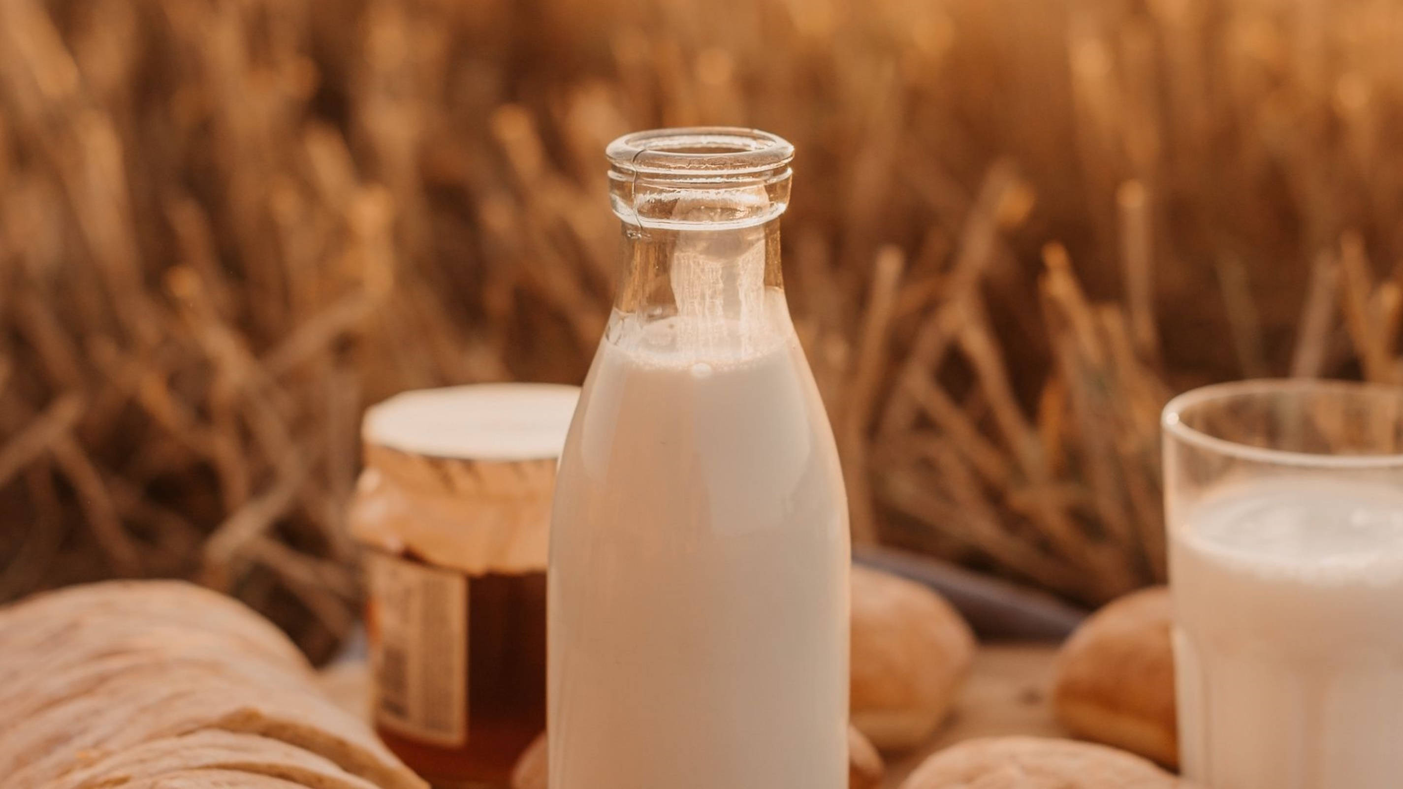 sundown picnic, milk bottle, glass loaf of bread, 2K Desktop Wallpaper