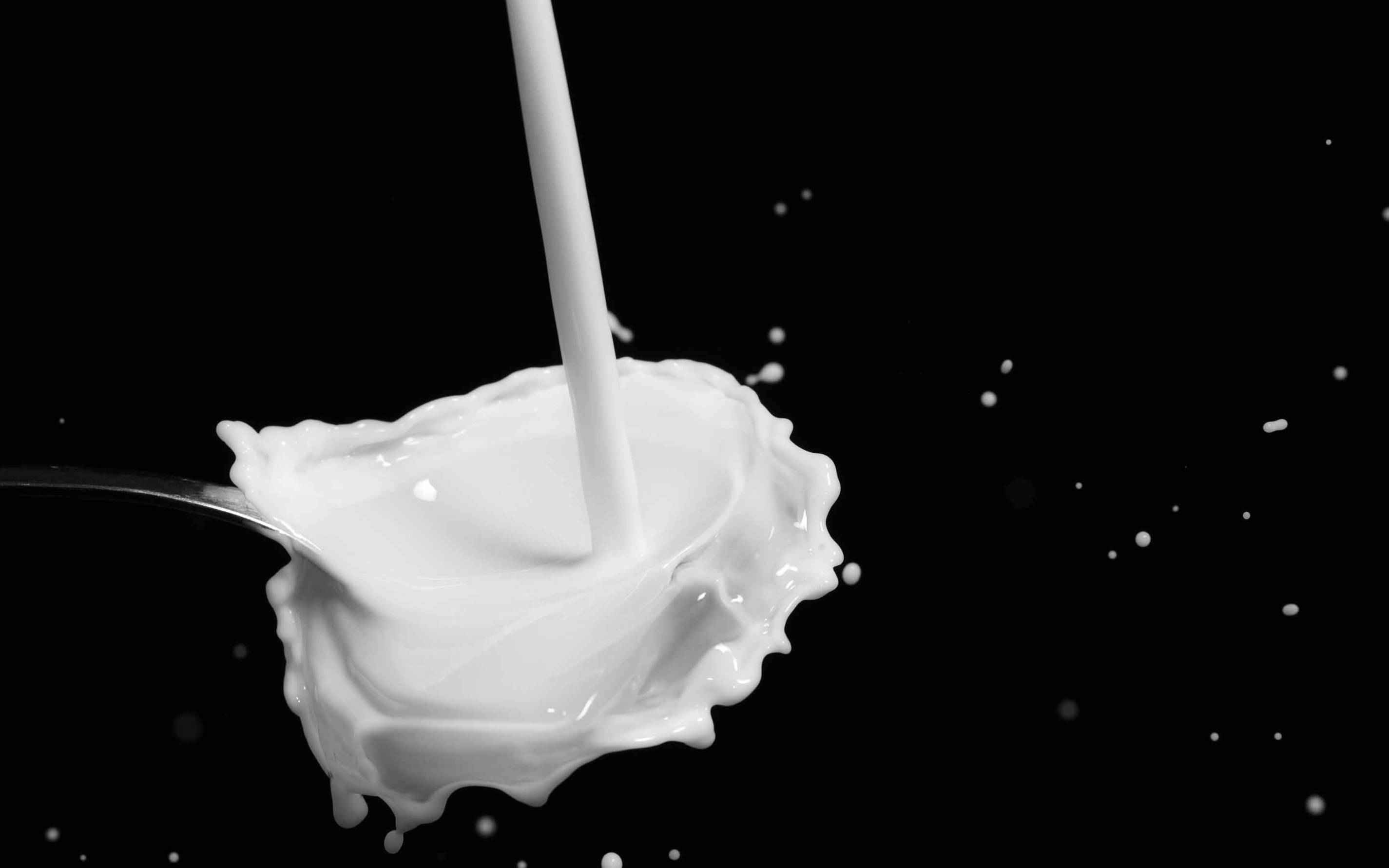 milk, metal spoon, creamy white, 2K Desktop Wallpaper