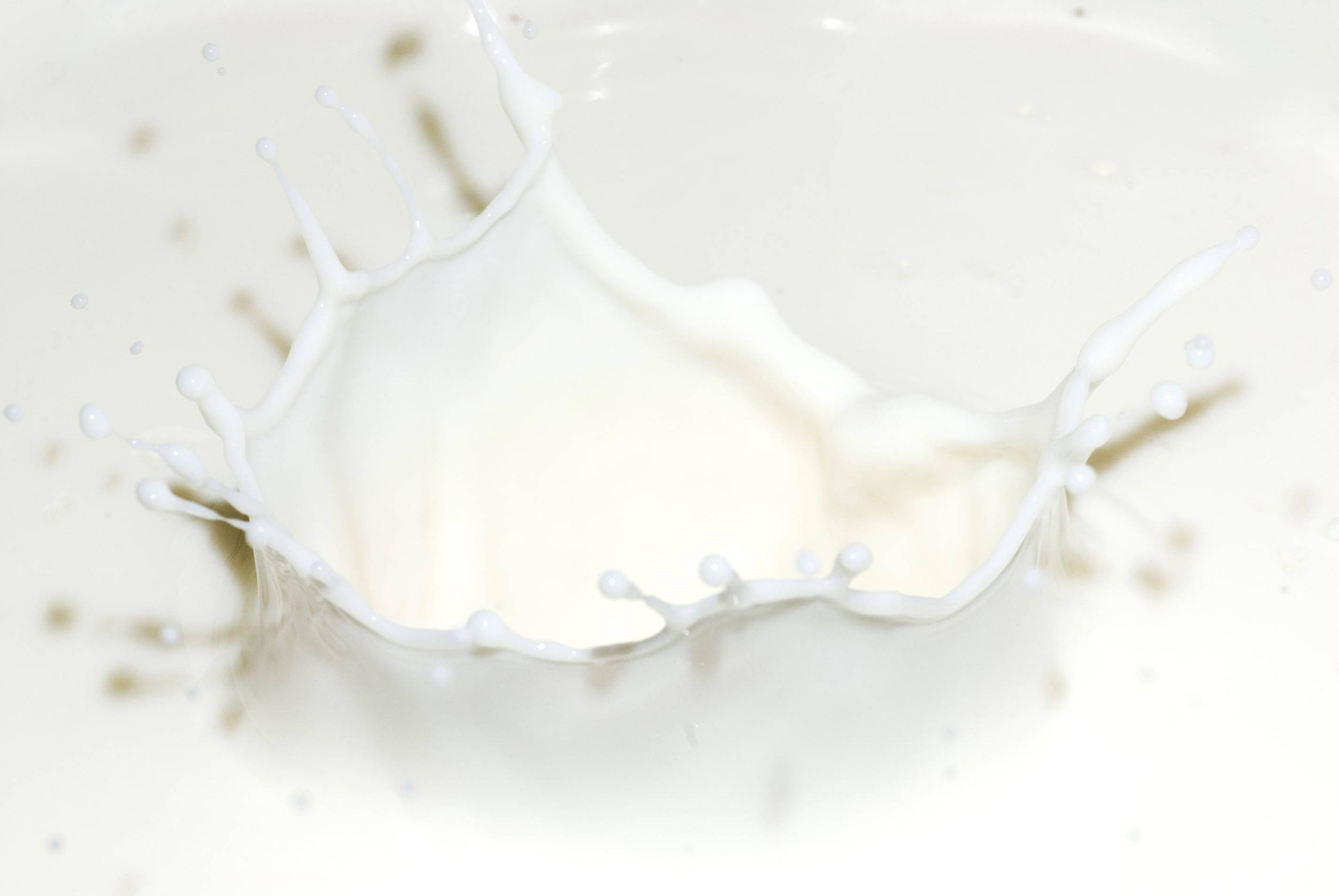creamy dairy milk, liquid splatter, creamy white milk, 2K Desktop Wallpaper