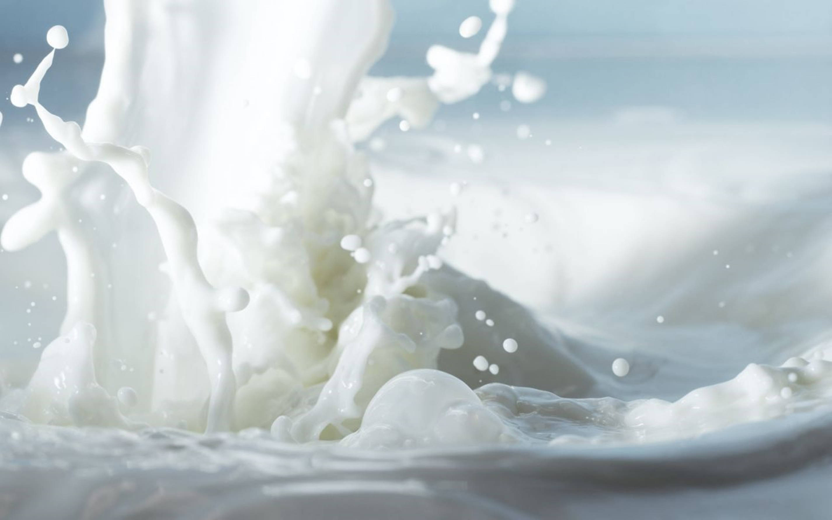 white milk, creamy white milk, slow motion splash, 2K Desktop Wallpaper