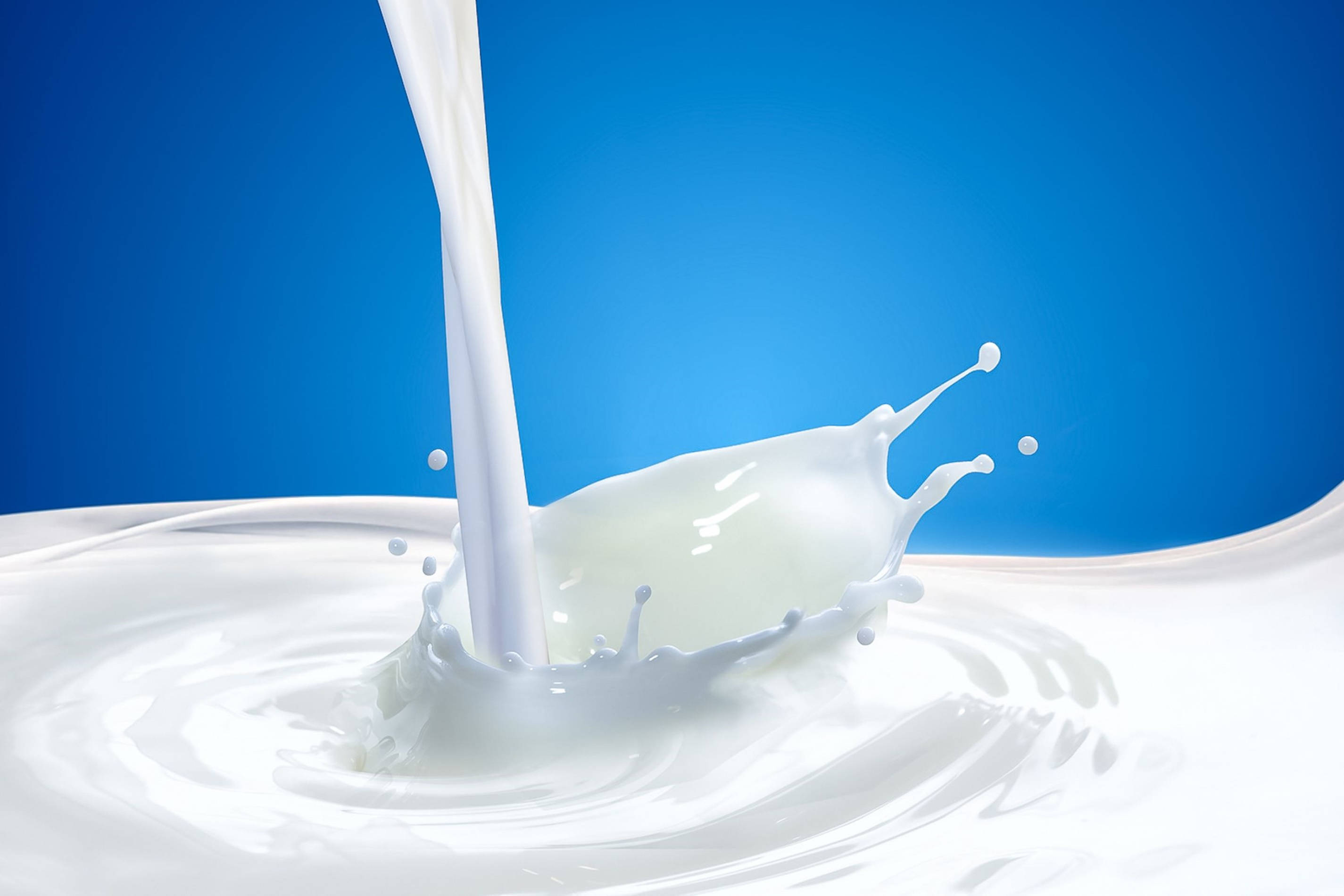 milk, splash, ripples, 2K Desktop Wallpaper