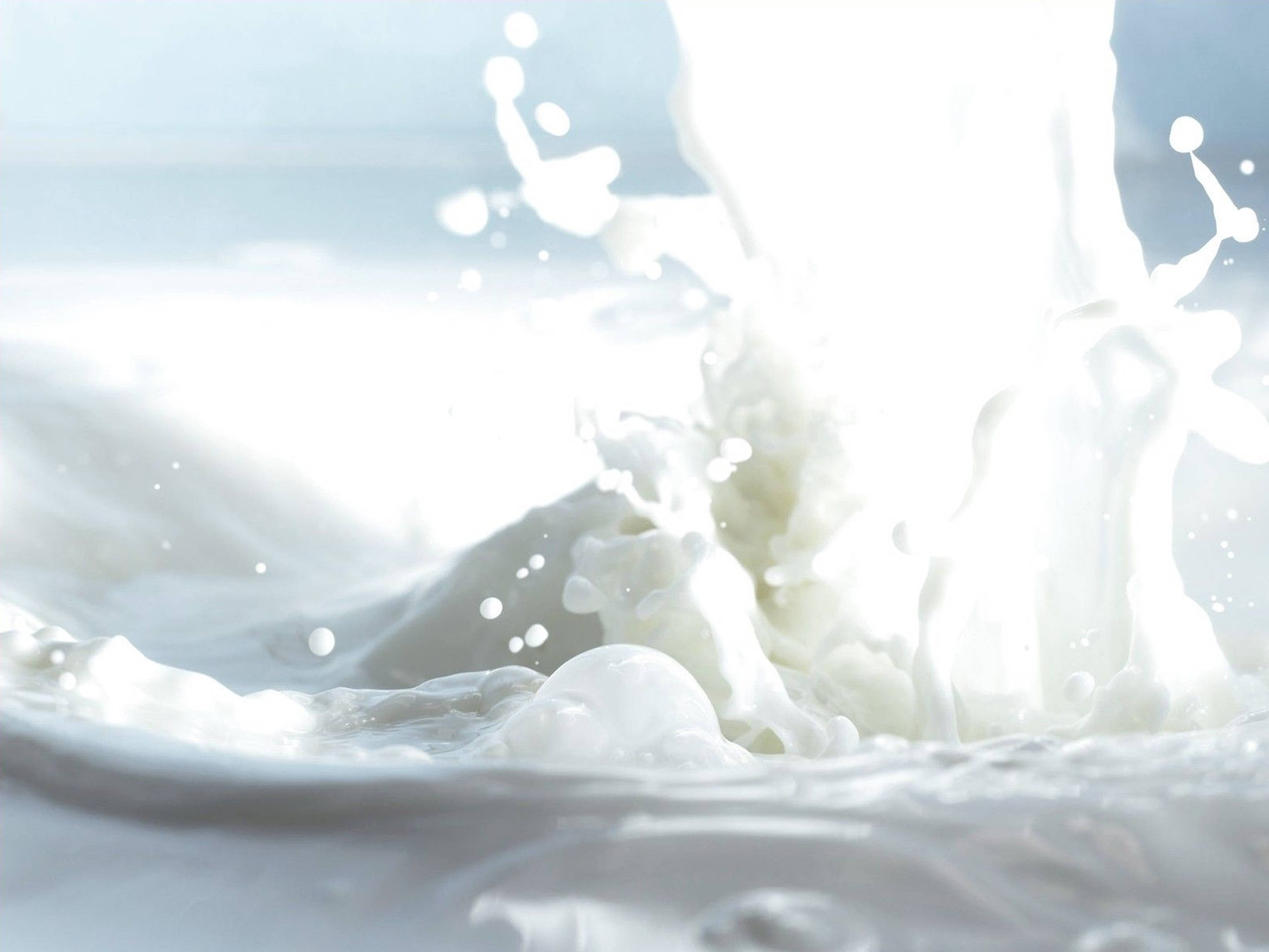 white milk, droplets, creamy white liquid, 2K Desktop Wallpaper