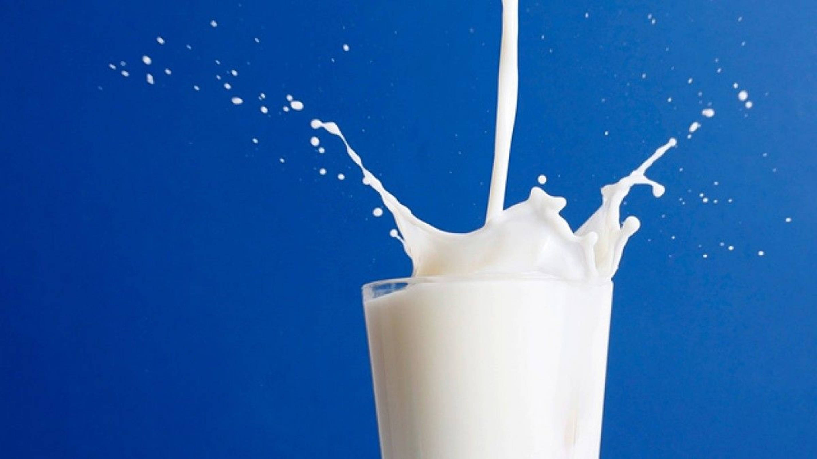 glass of milk, splashing, blue background, 2K Desktop Wallpaper