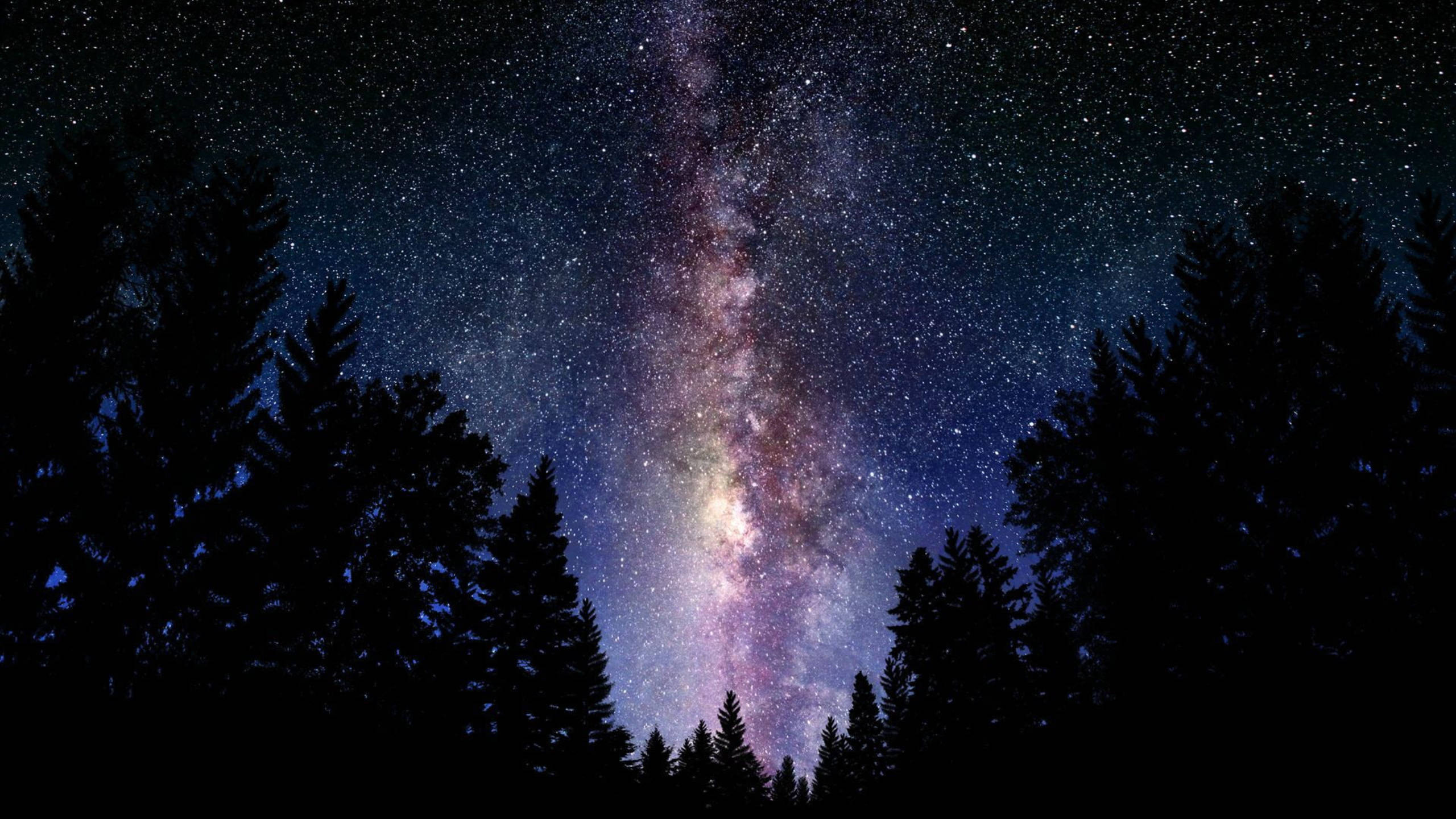 Black Galaxy Milky Way Forest, Milky Way galaxy, pink and purple hues, 2K Desktop Wallpaper
