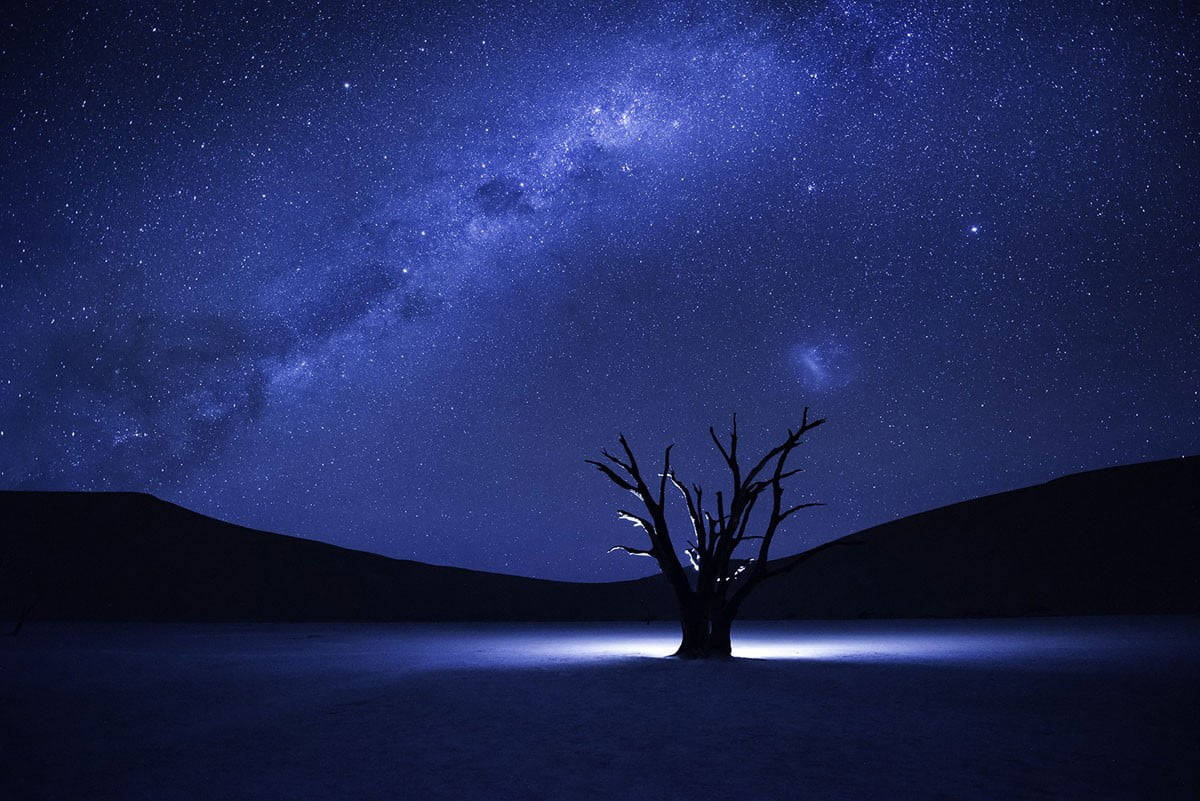 Milky Way Galaxy, bare tree, starry night sky, SD Desktop Wallpaper