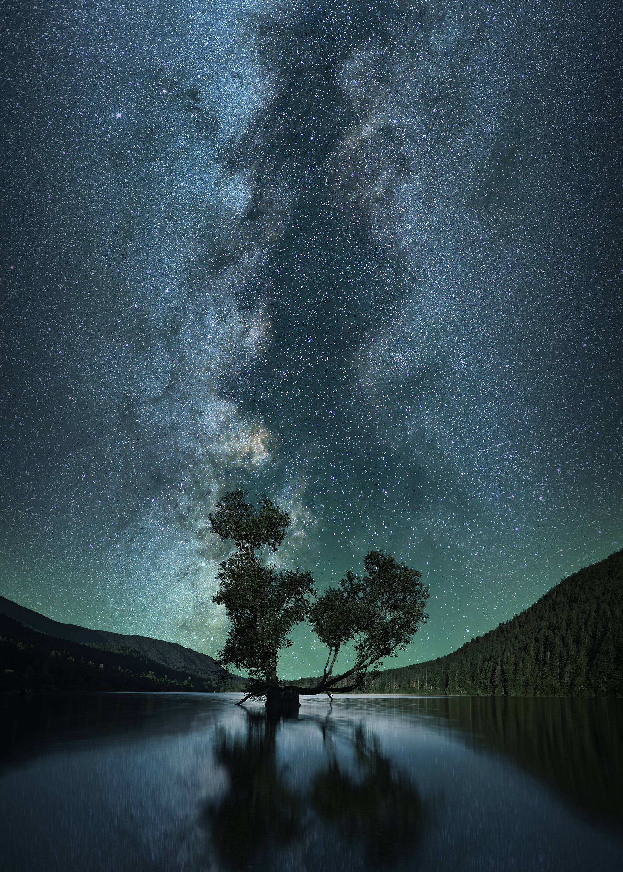 Milky Way, starry sky, lone tree, 2K Phone Wallpaper