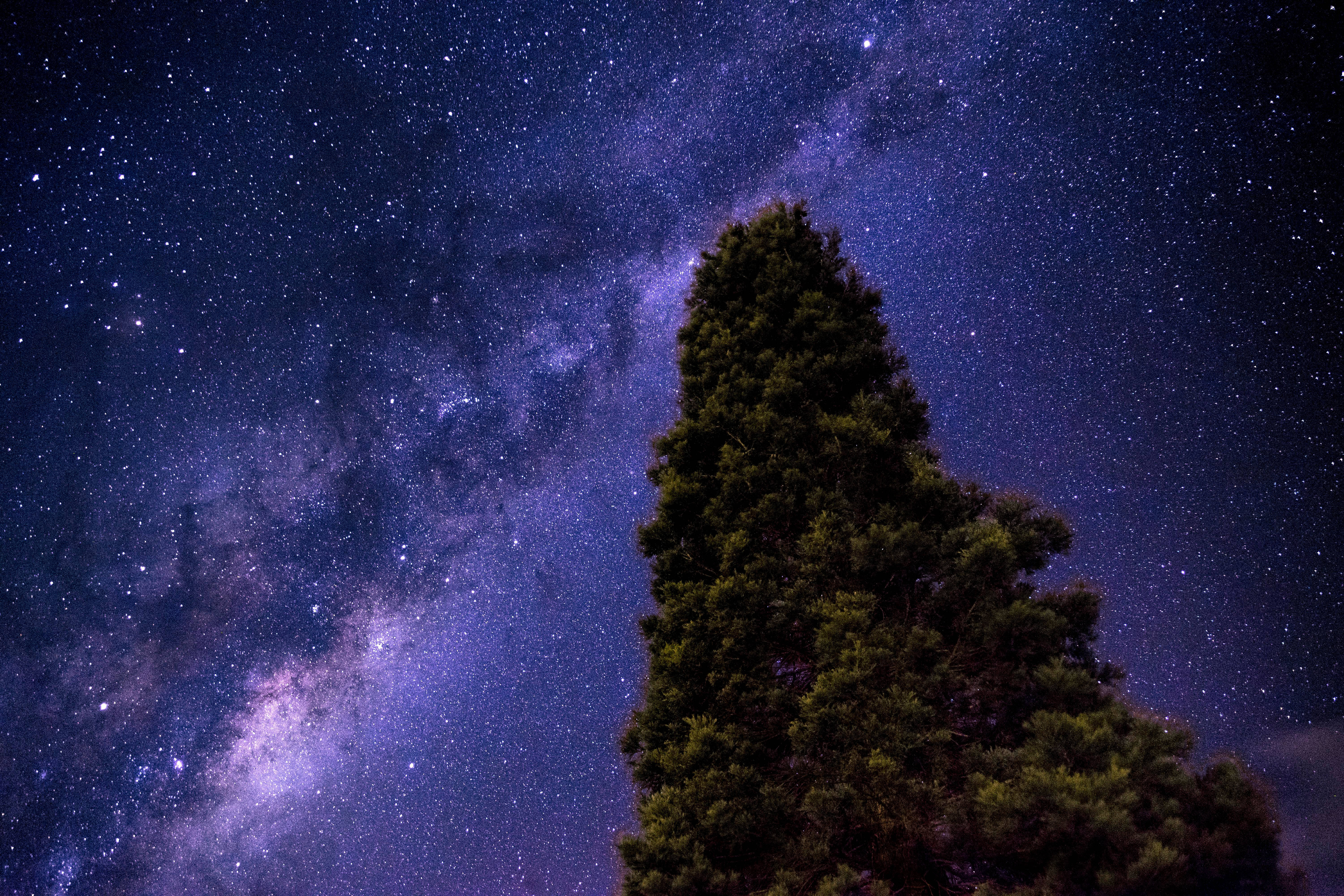 single tree, Milky Way, vibrant purple and blue starry night sky, 5K Desktop Wallpaper
