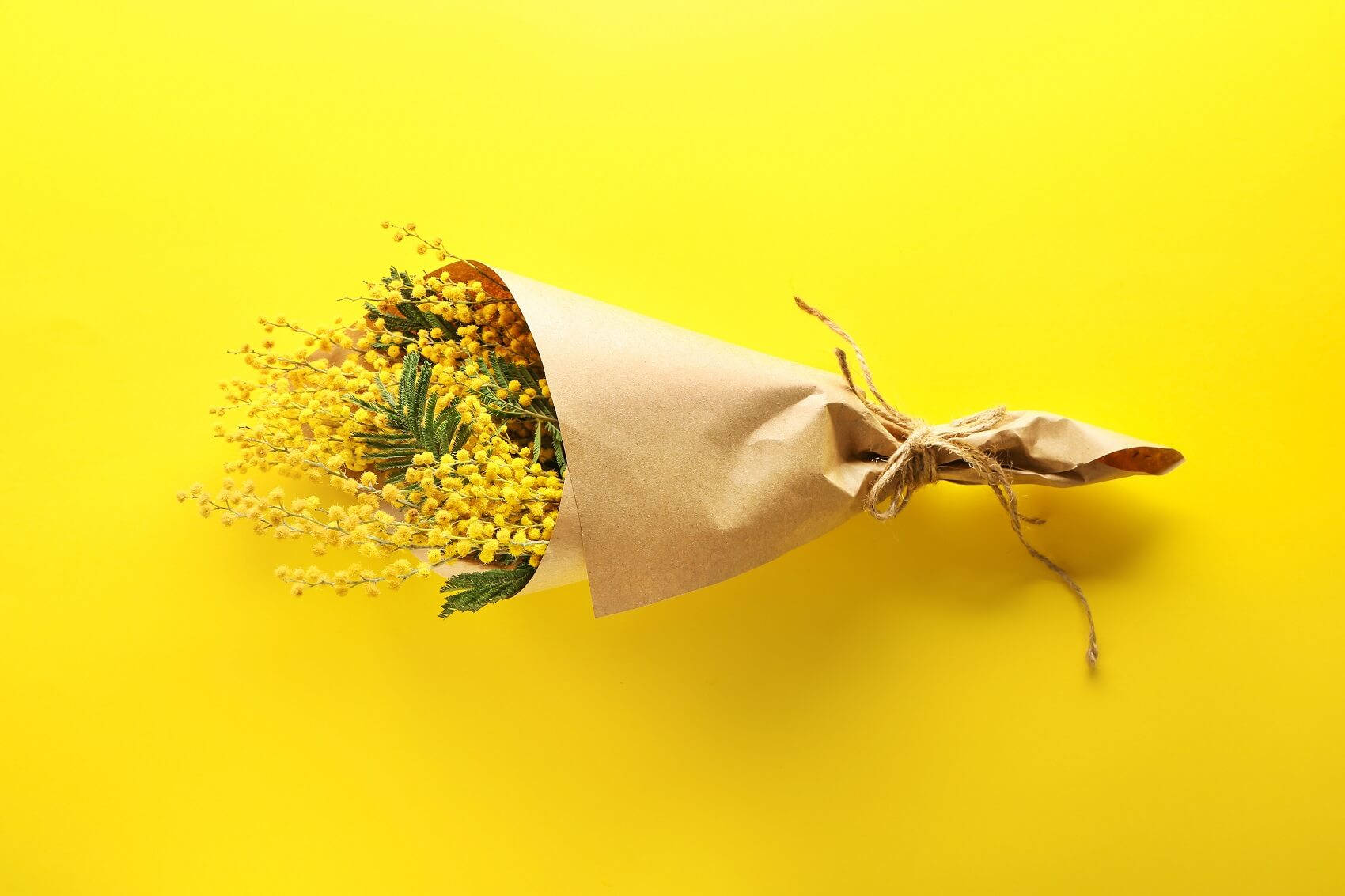 mimosa flower bouquet, vibrant yellow, brown paper, HD Desktop Wallpaper