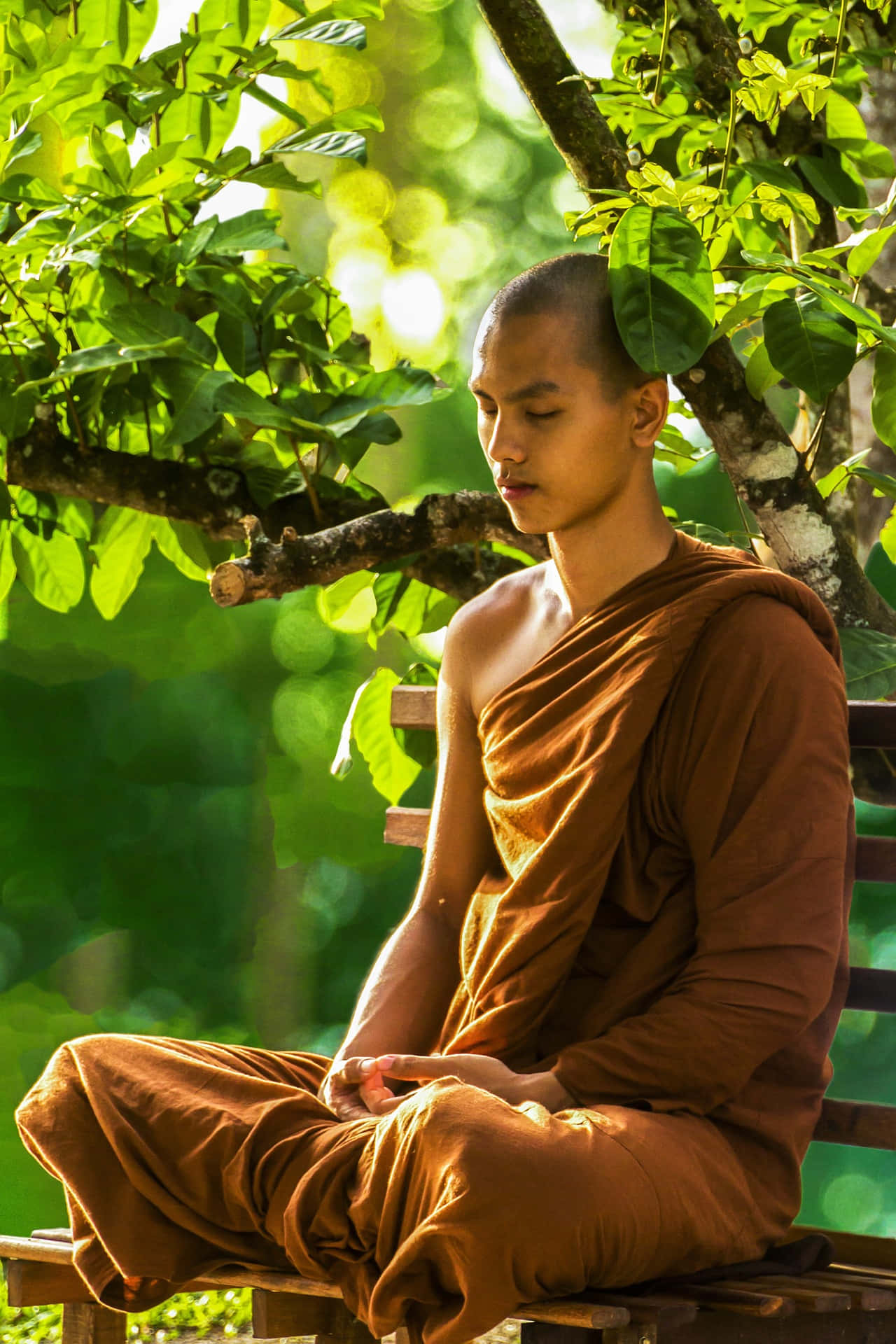 monk, brown robes, wooden bench, Full HD Phone Wallpaper