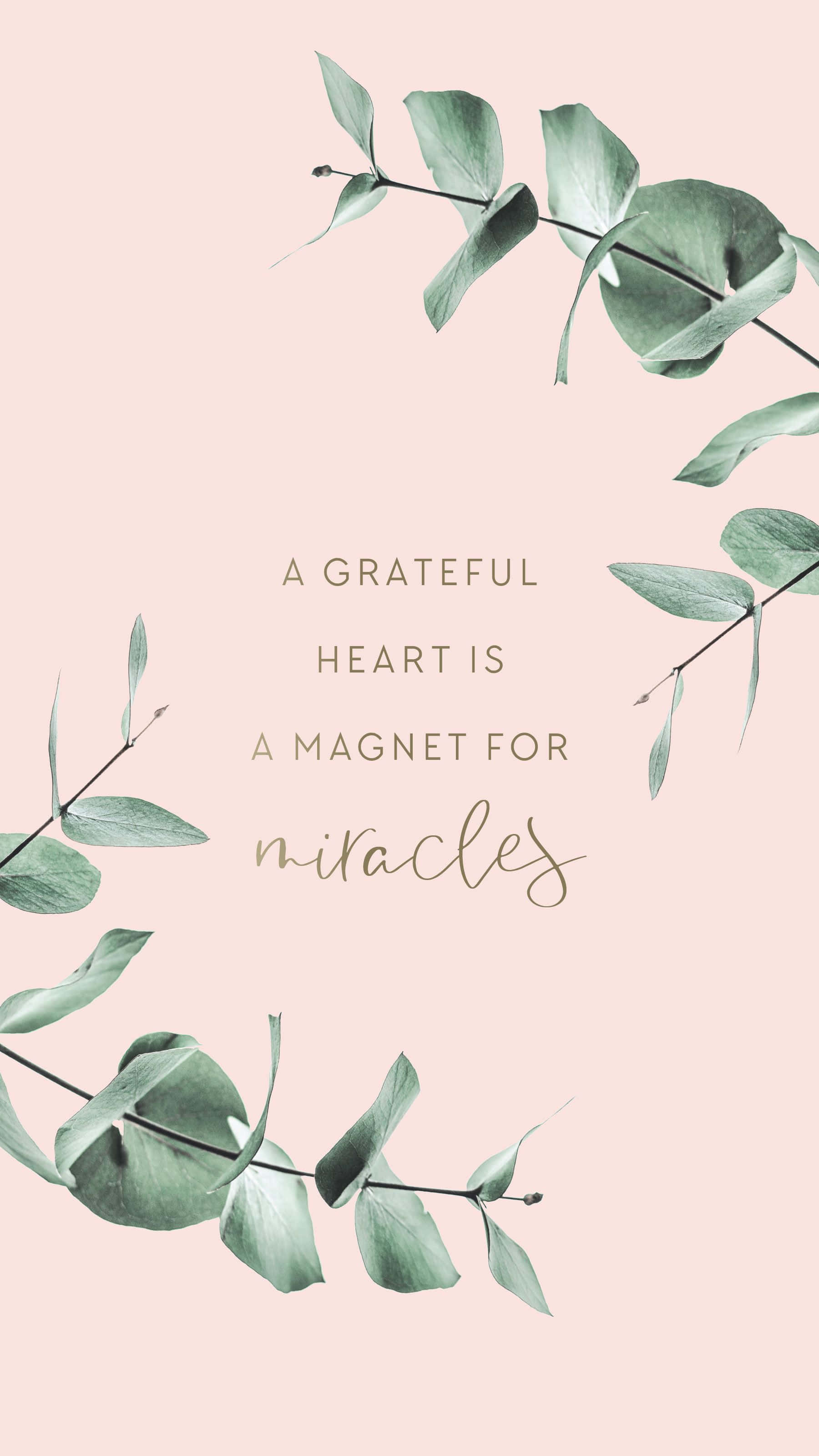 Eucalyptus branches, motivational quote, soft pink background, 2K Phone Wallpaper