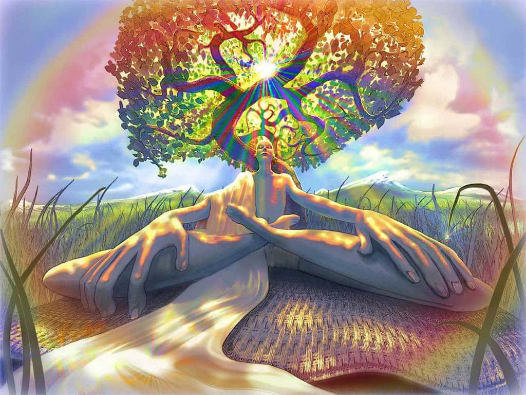rainbow-hued tree, glowing roots, glowing branches, SD Desktop Wallpaper