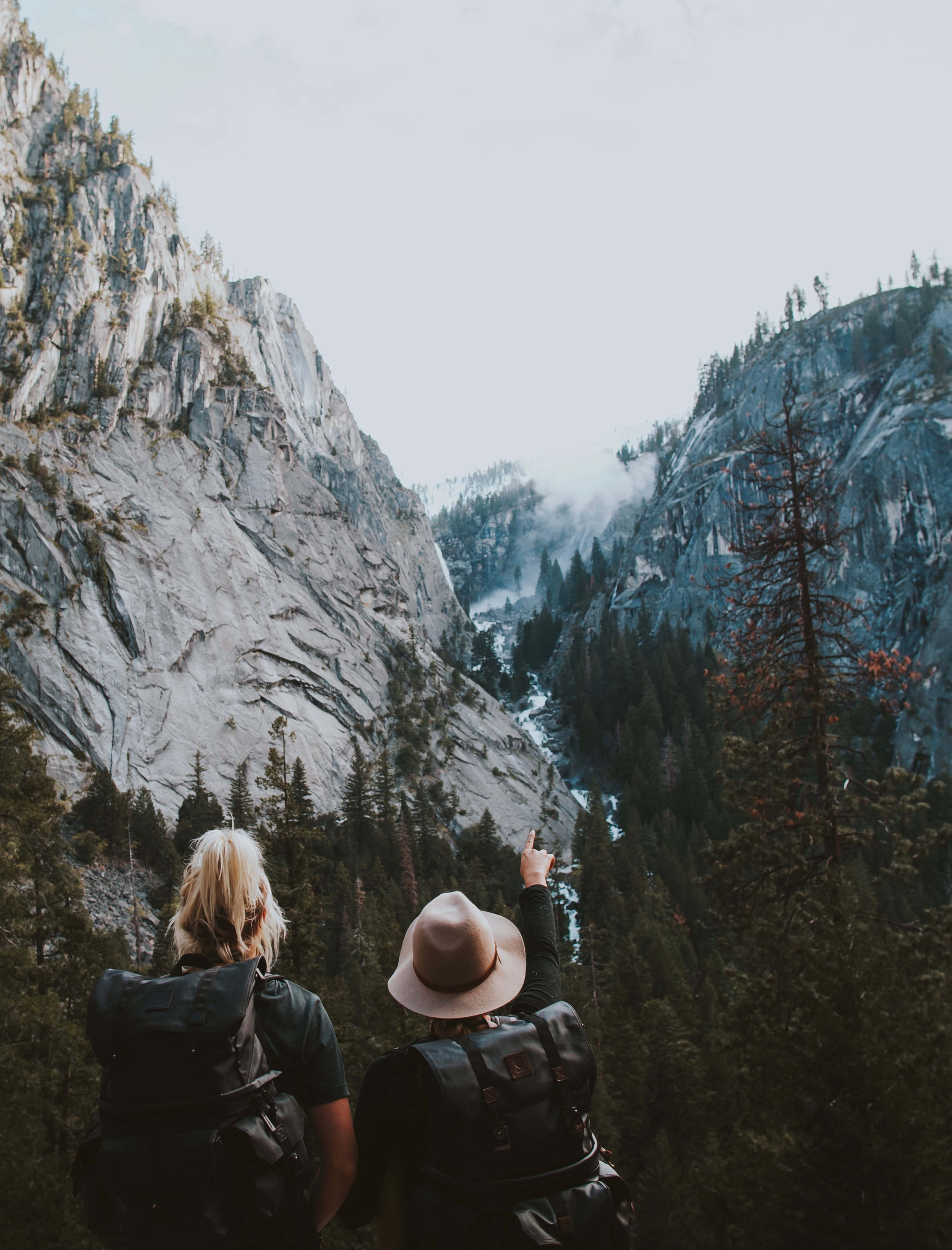 soulful, 2779 x 3648, forest trail, 2K Phone Wallpaper