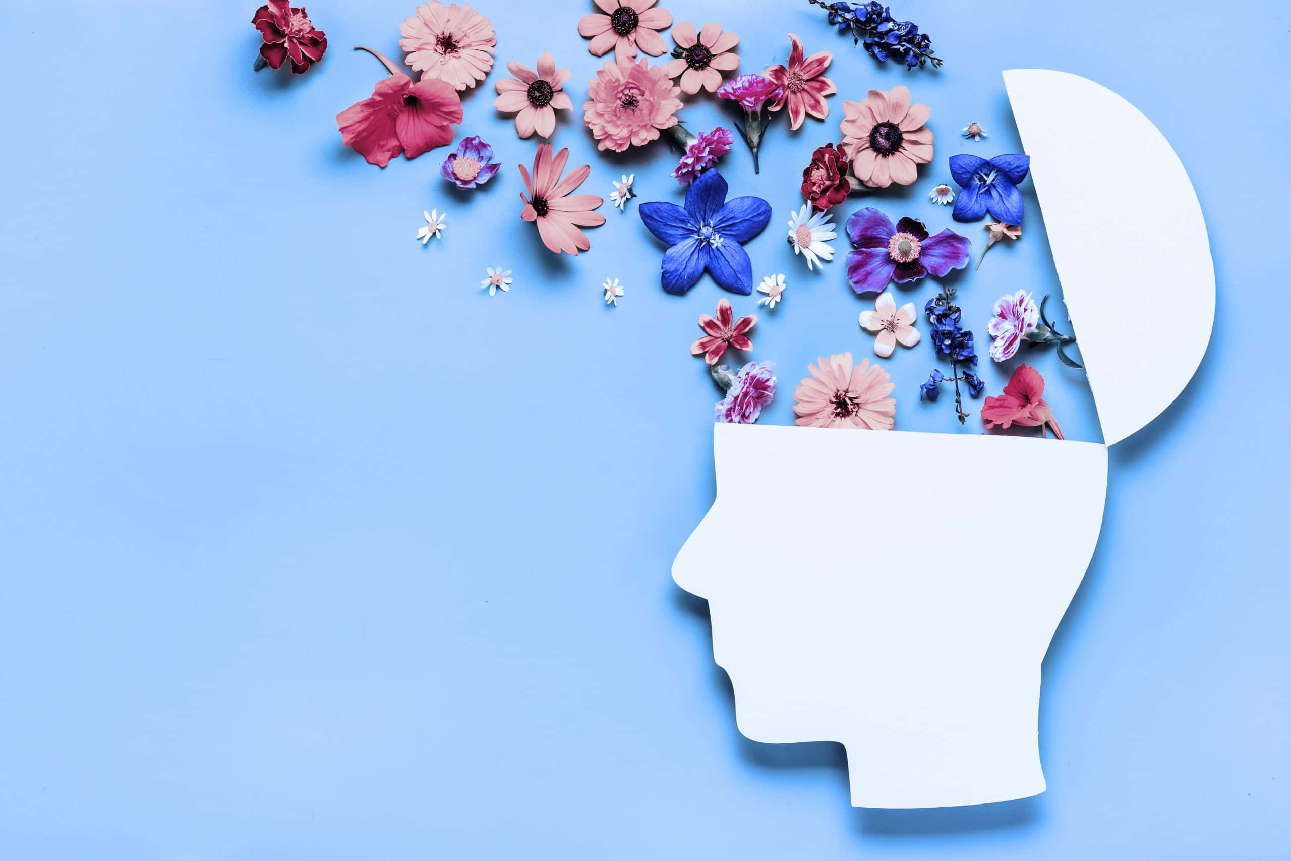 white paper head silhouette, open top, vibrant pink purple and blue flowers, 2K Desktop Wallpaper