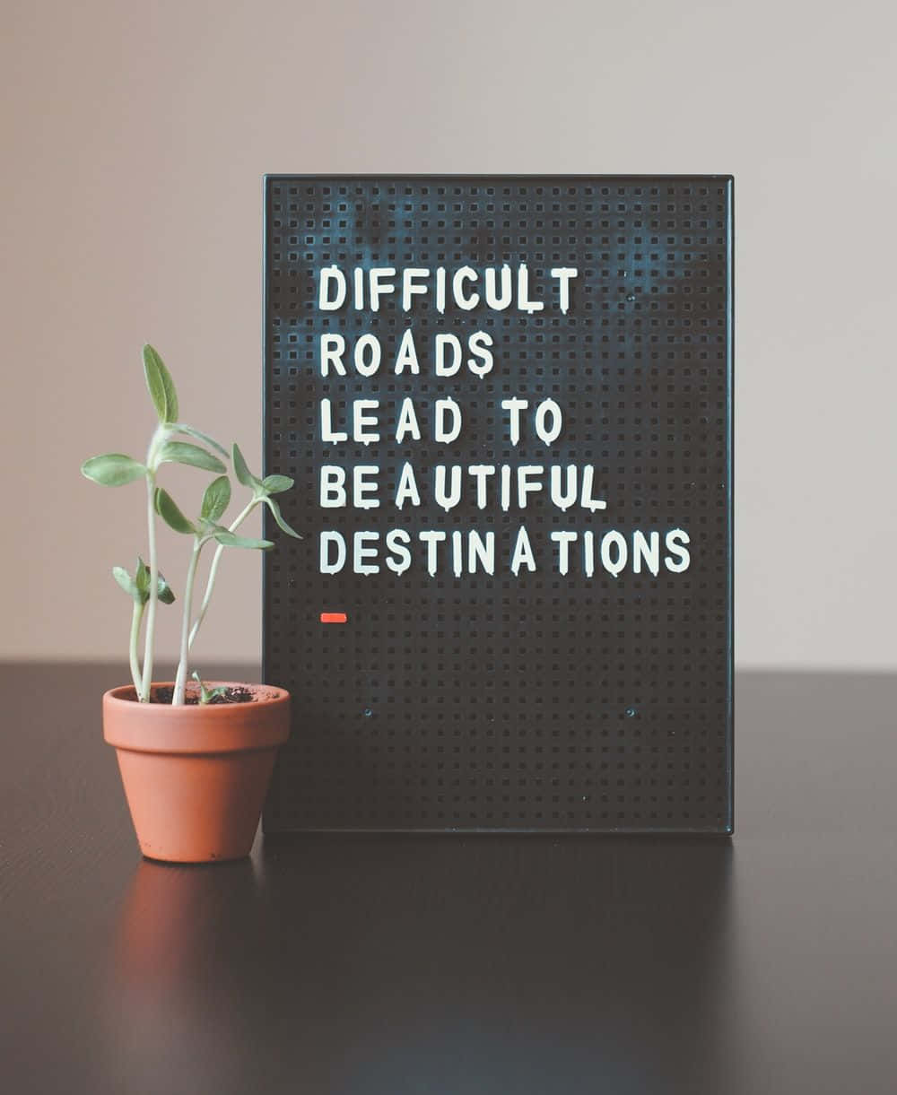 Mindset, black letterboard, potted plant, SD Phone Wallpaper
