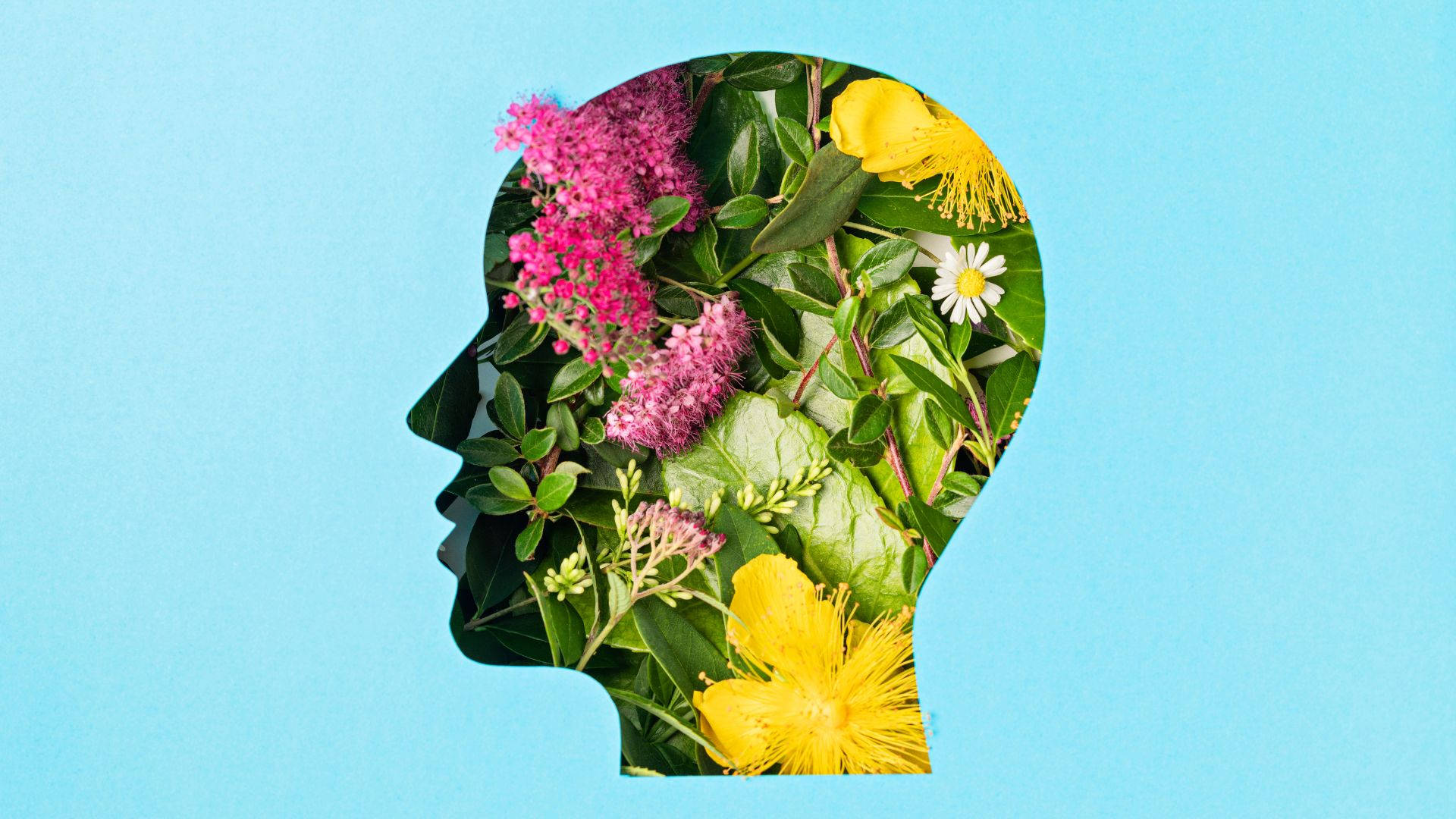 human mind, vibrant pink yellow flowers, green leaves, Full HD Desktop Wallpaper