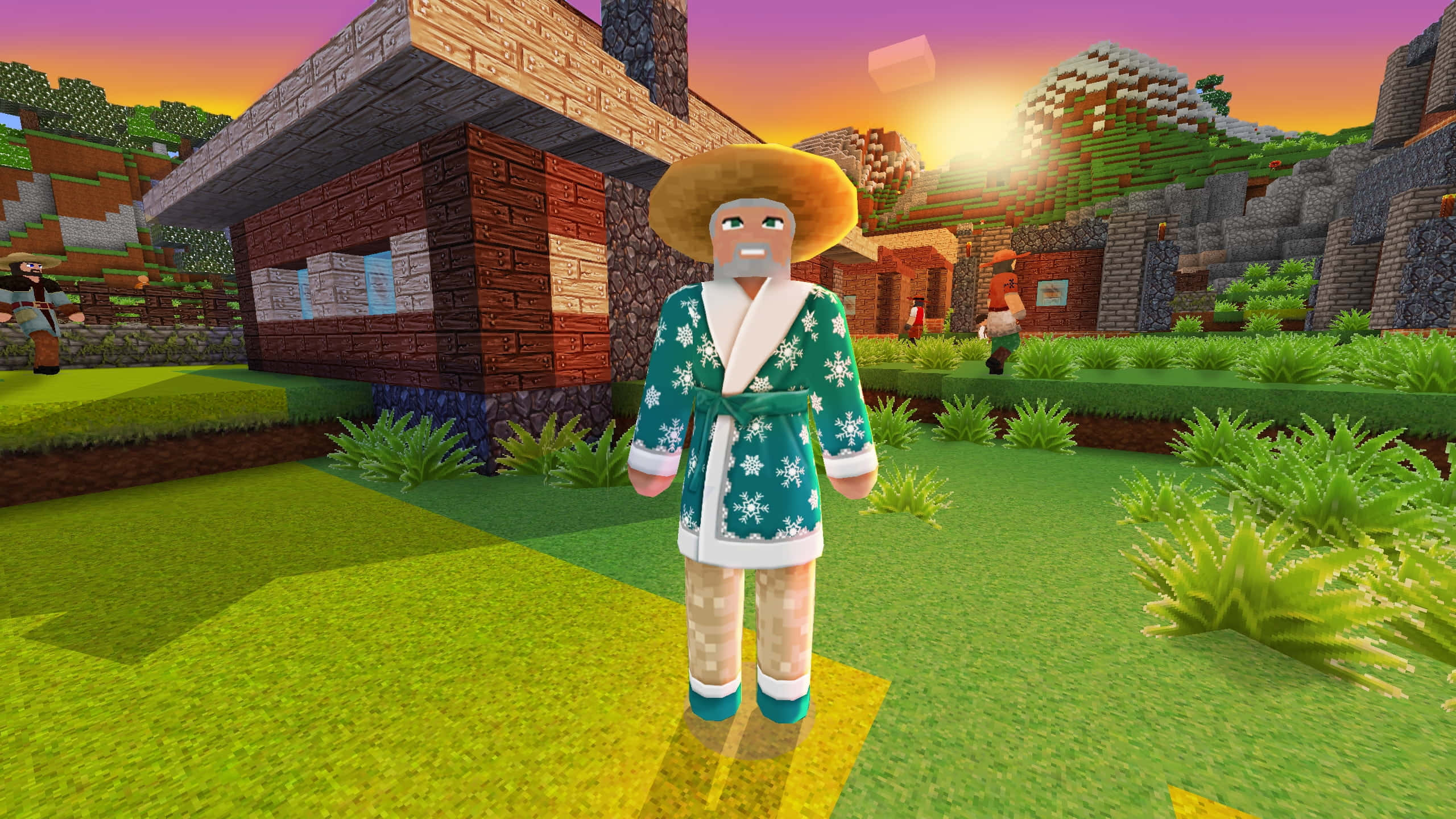 Minecraft Adventure, snowflake robe, grassy village, 2K Desktop Wallpaper
