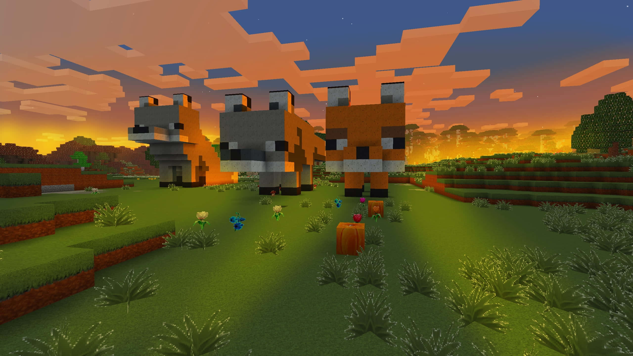 Minecraft Adventure, pixelated foxes, grassy Minecraft field, 2K Desktop Wallpaper
