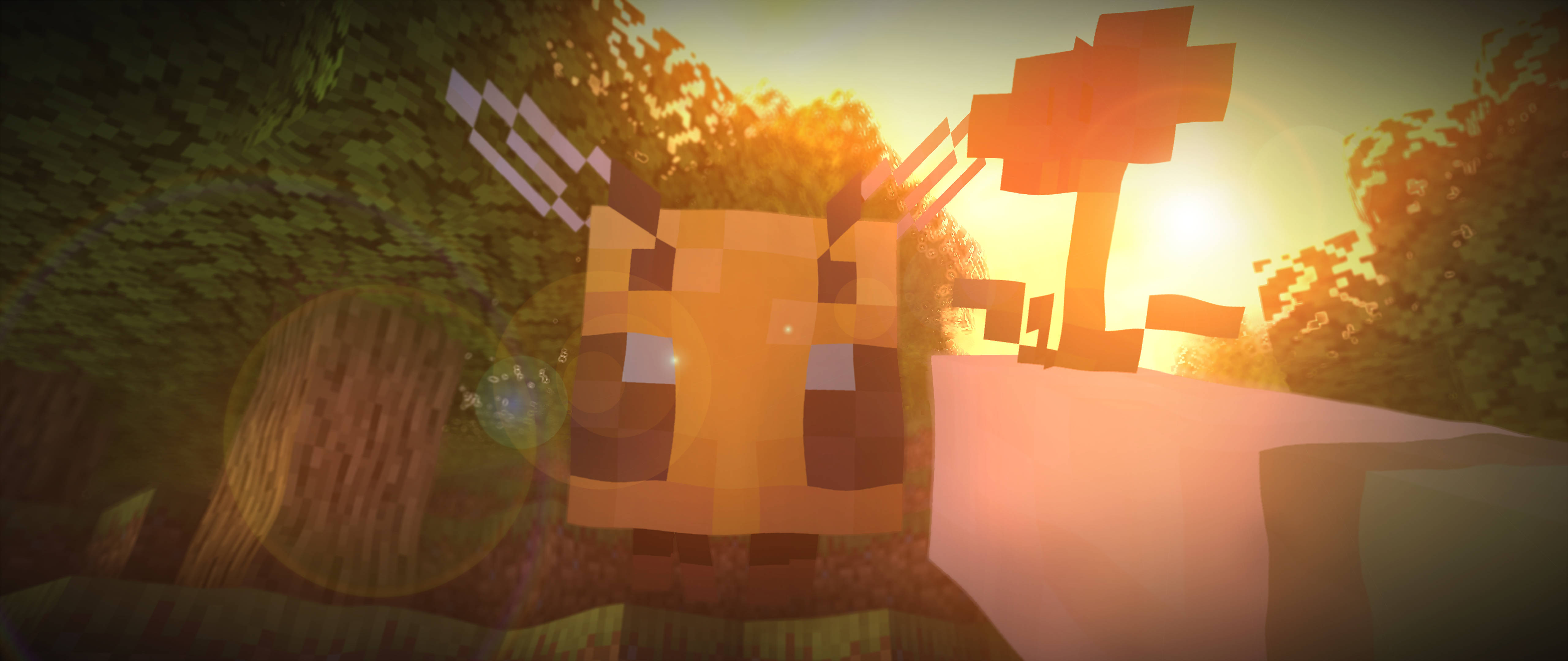 Minecraft Bee, aesthetic, sunset, 5K Desktop Wallpaper
