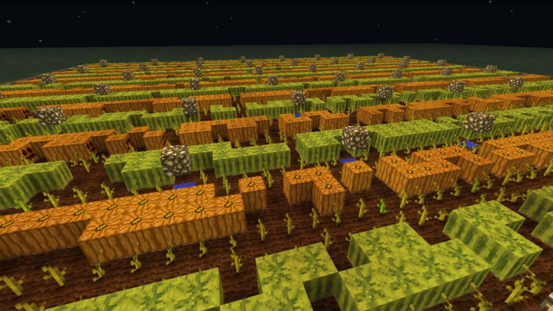 Minecraft, pumpkins, wheat, Full HD Desktop Wallpaper