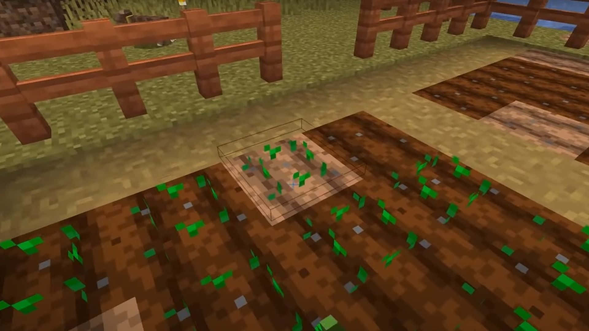 Minecraft, green crops, tilled brown soil, Full HD Desktop Wallpaper