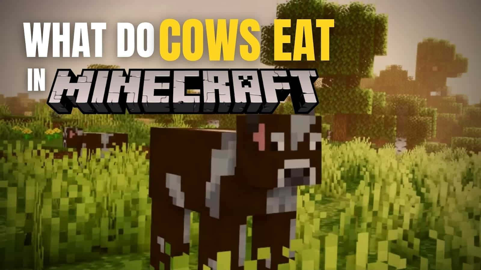 Minecraft cow, blocky grassy field, hazy sky, HD Desktop Wallpaper