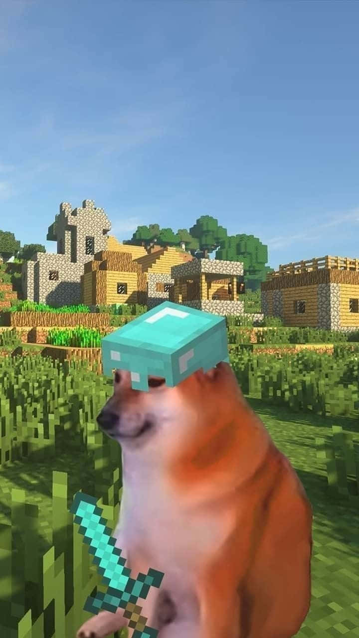Minecraft diamond helmet, diamond sword, pixelated grassy field, HD Phone Wallpaper