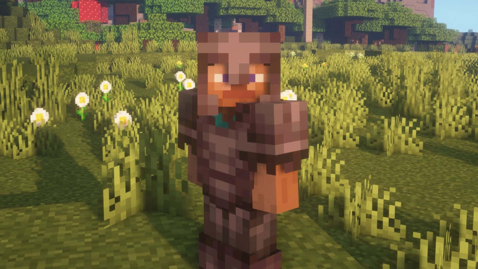 Minecraft, Warrior, Full Diamond Armor, HD Desktop Wallpaper