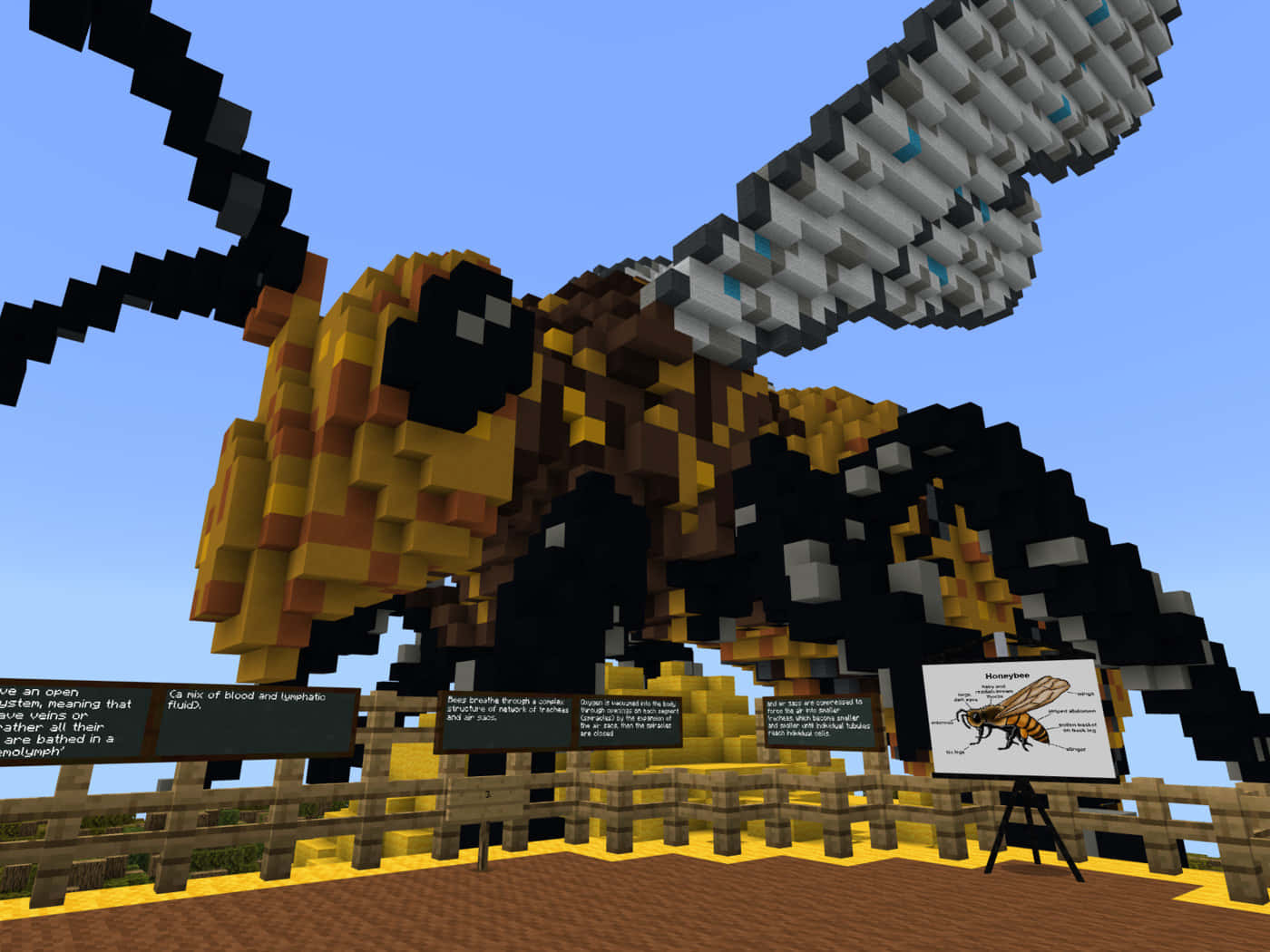 Minecraft Education Edition, pixelated bee, yellow black stripes, HD Desktop Wallpaper
