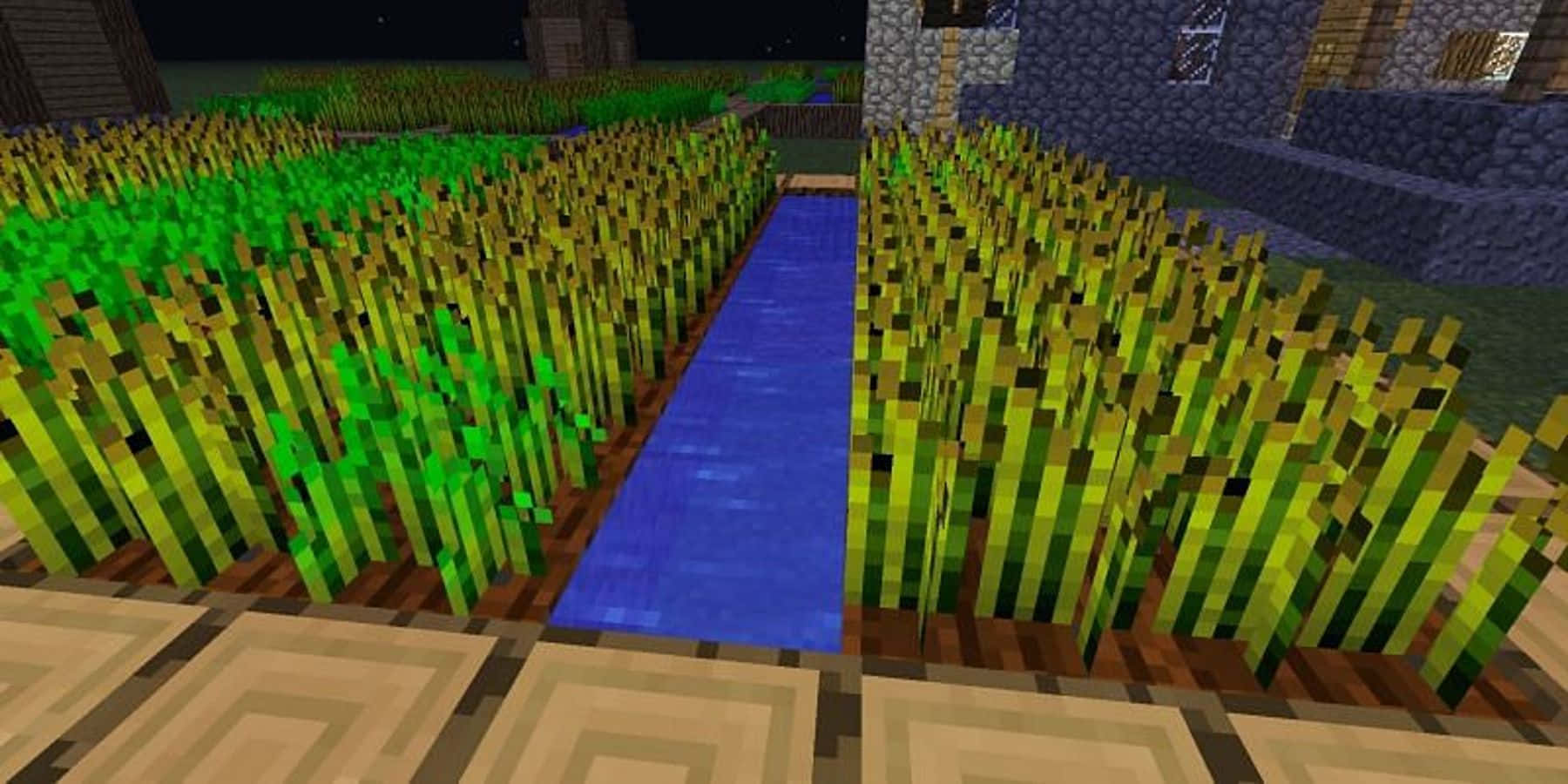 Minecraft, glowing green crops, blue water channel, HD Desktop Wallpaper