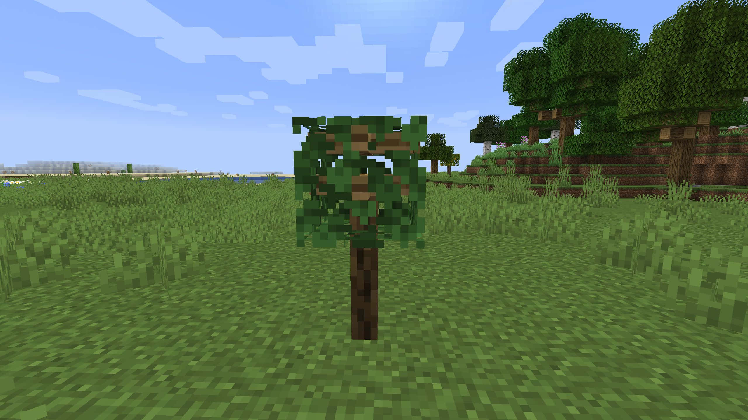 Minecraft, pixelated tree, grassy field, 2K Desktop Wallpaper