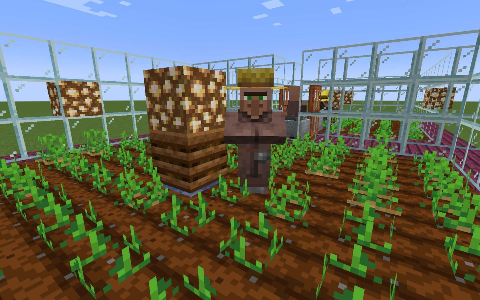 Minecraft, glass greenhouse, green crops, Full HD Desktop Wallpaper