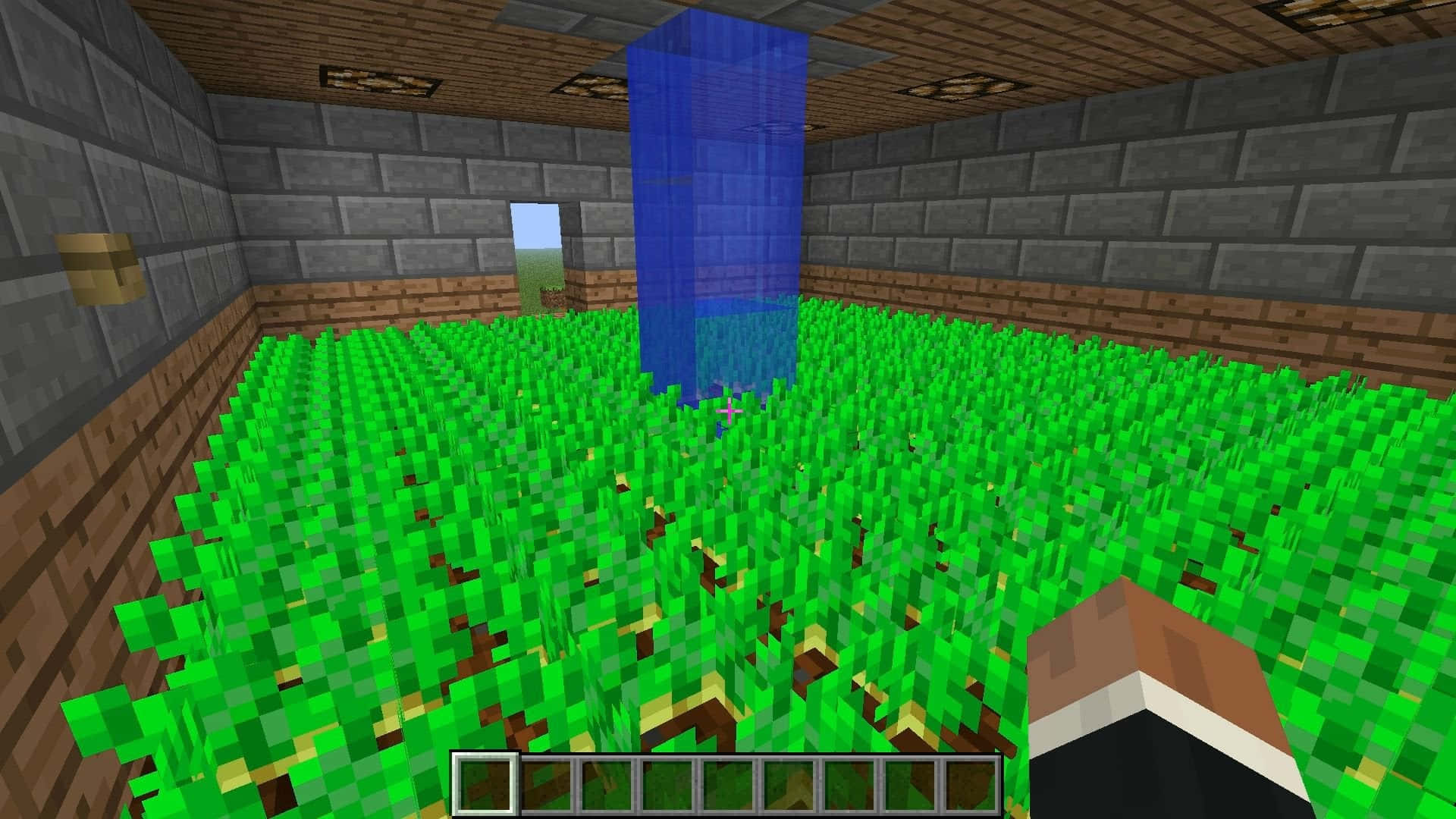 Minecraft Farming, grassy indoor room, blue water column, Full HD Desktop Wallpaper