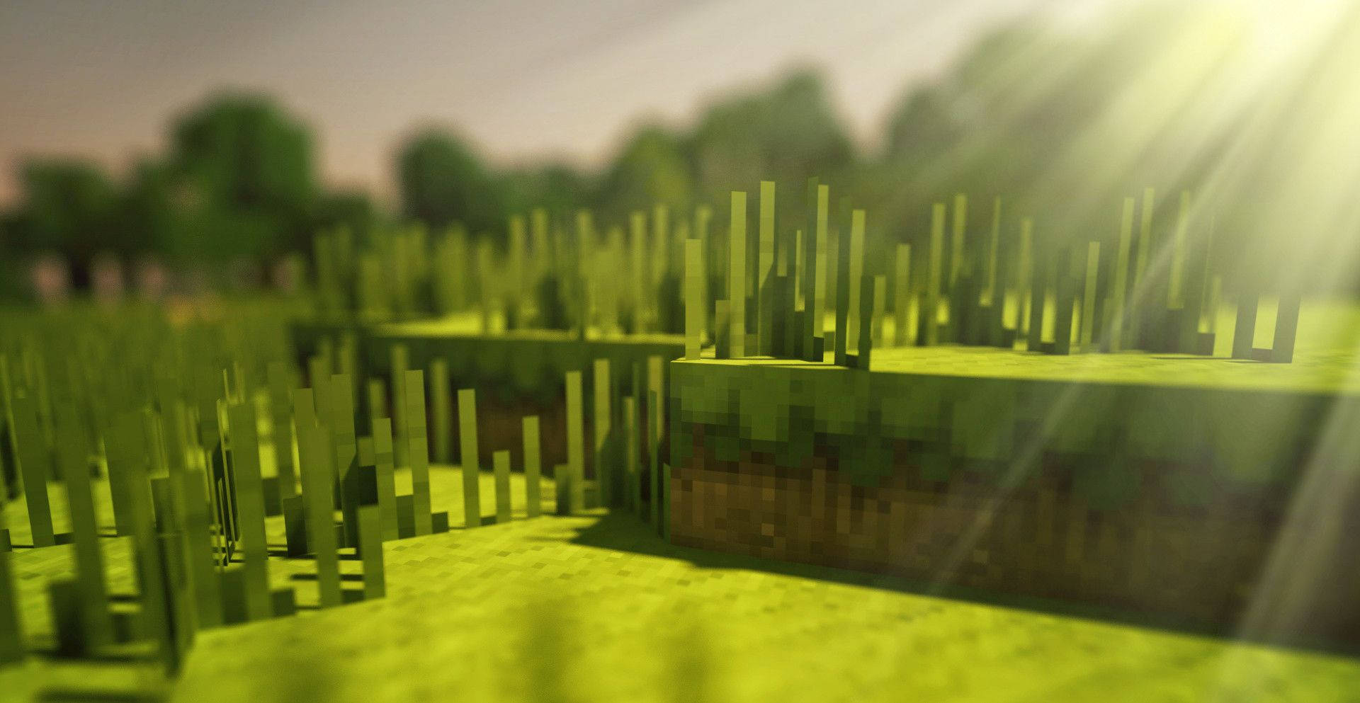 4K, Minecraft, grass, Full HD Desktop Wallpaper