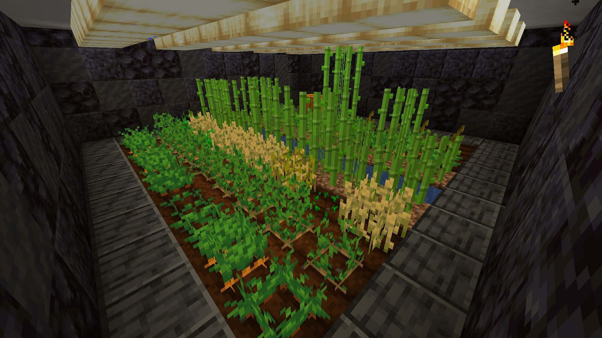 Minecraft Farming, pixelated Minecraft farm, rows of green and golden crops, Full HD Desktop Wallpaper