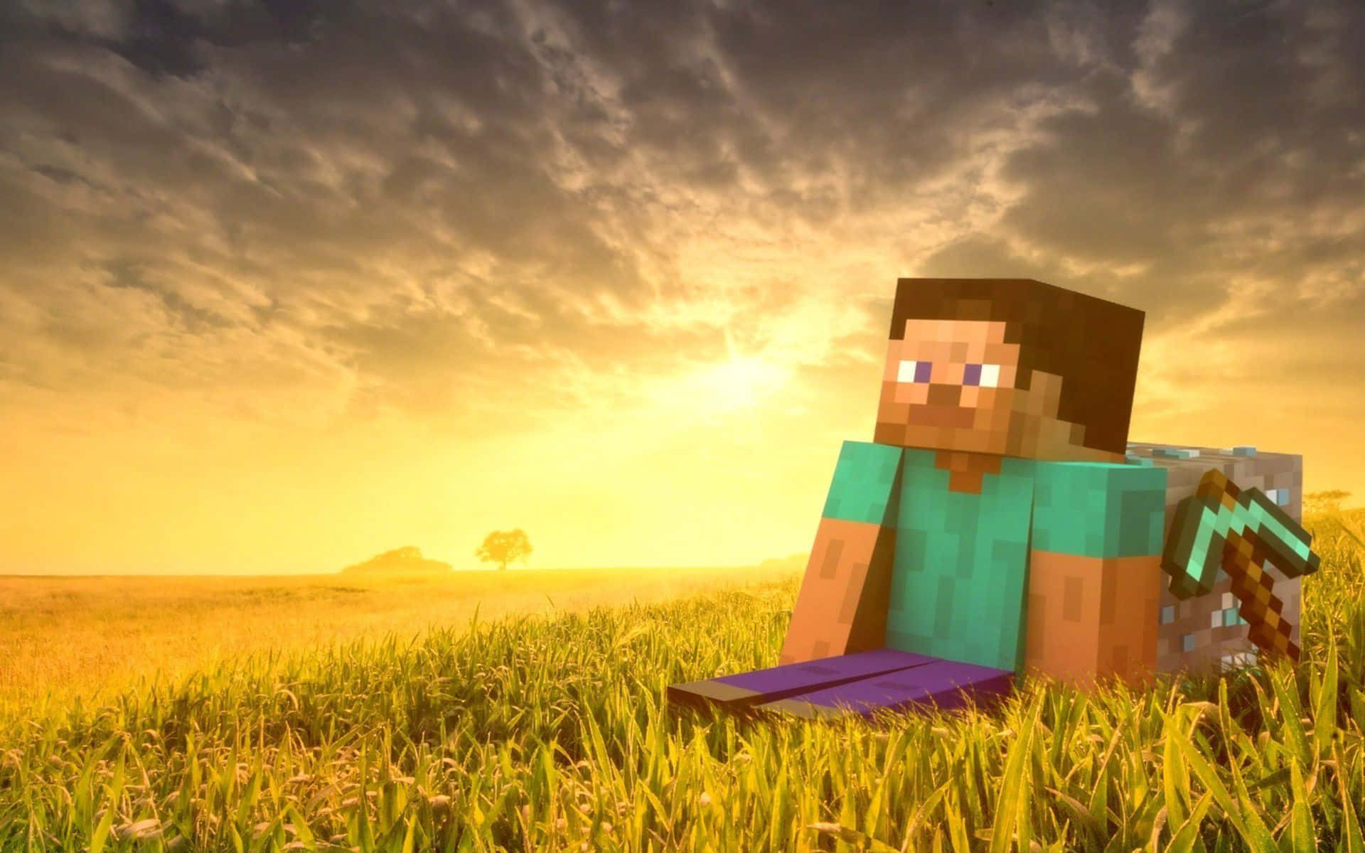 Minecraft, grass, sunset, Full HD Desktop Wallpaper
