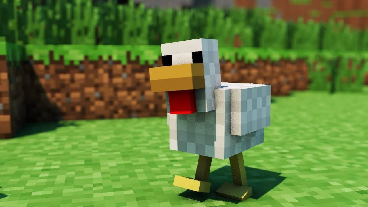 Minecraft, chicken, green grass, HD Desktop Wallpaper