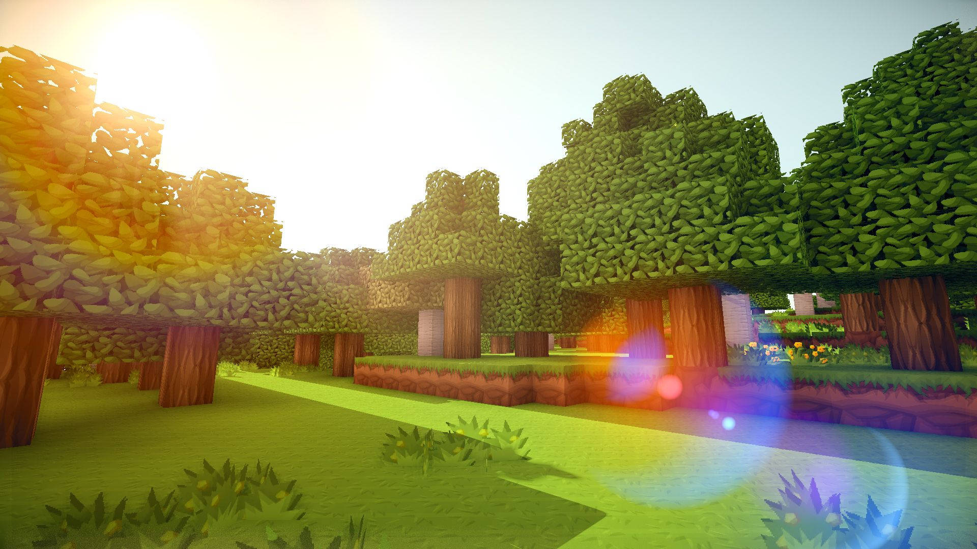 Minecraft, sun shining, blocky pixelated trees, Full HD Desktop Wallpaper