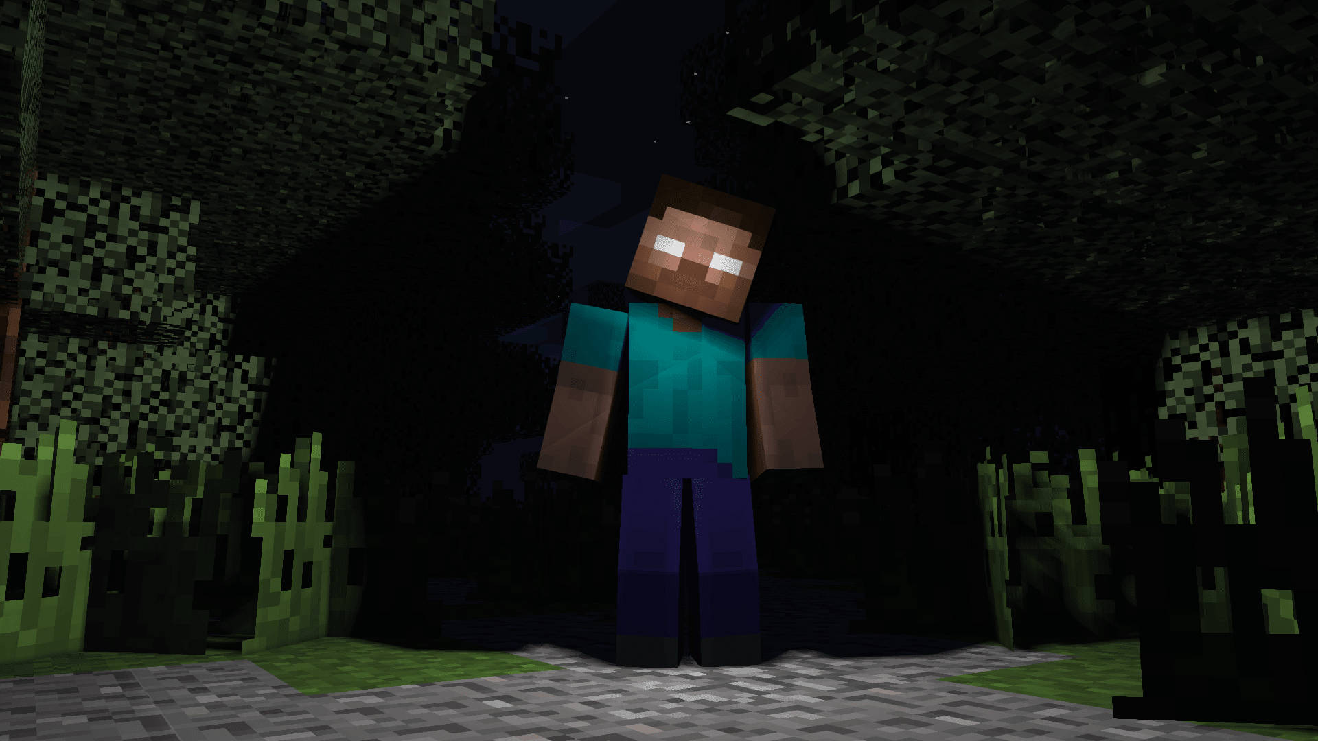 Minecraft Herobrine, starry night sky, blocky trees, Full HD Desktop Wallpaper