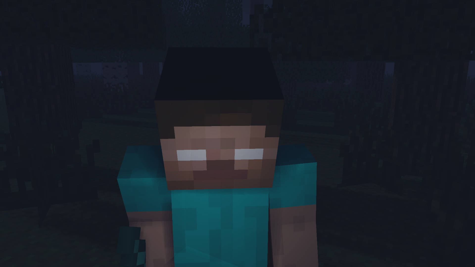Minecraft Herobrine, teal shirt, dark forest, Full HD Desktop Wallpaper