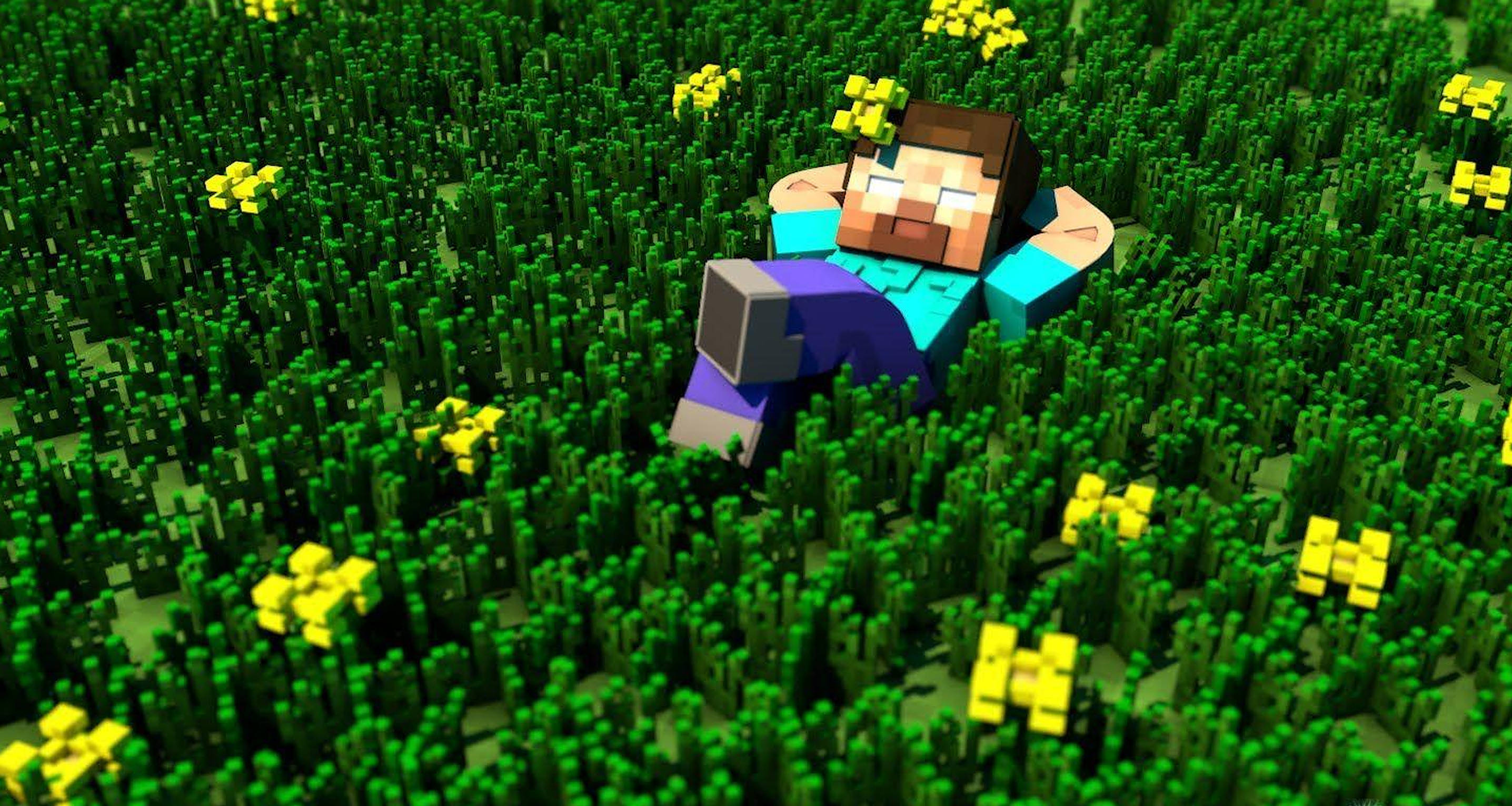 Minecraft, Herobrine, green grass, 2K Desktop Wallpaper