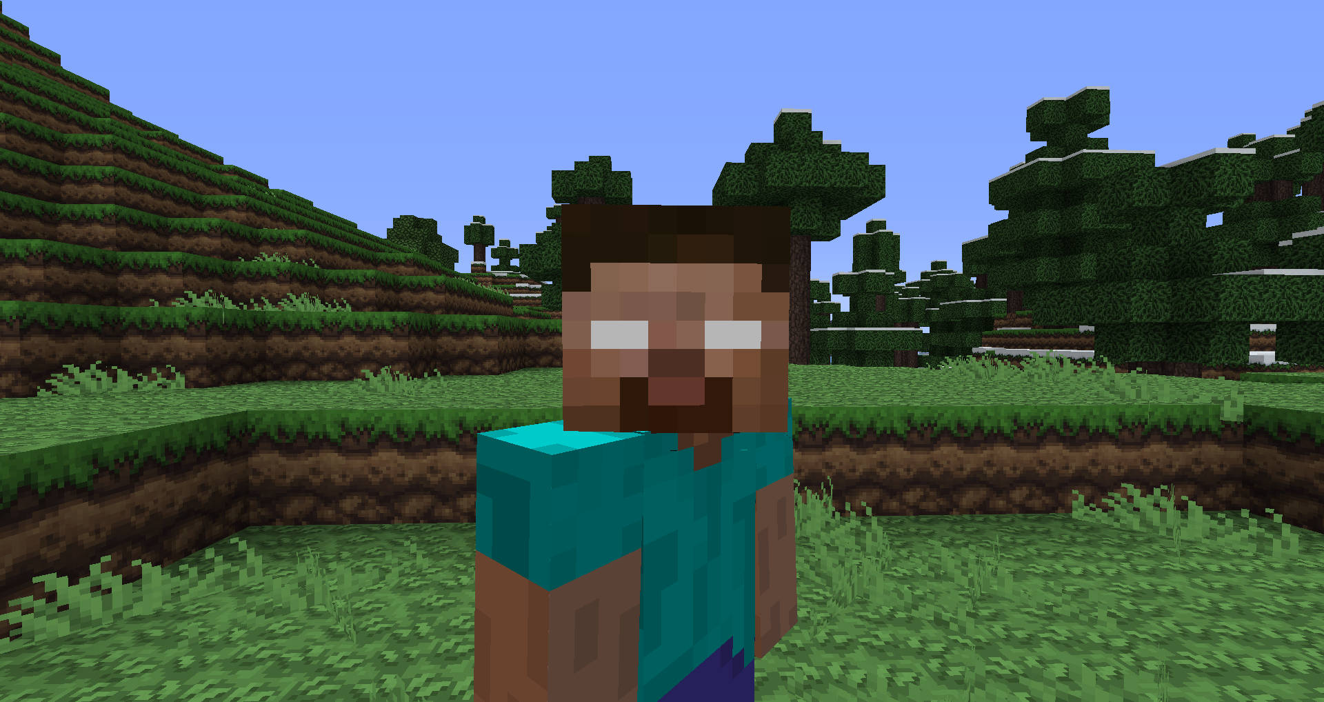 Minecraft Herobrine, grassy field, blocky trees, Full HD Desktop Wallpaper