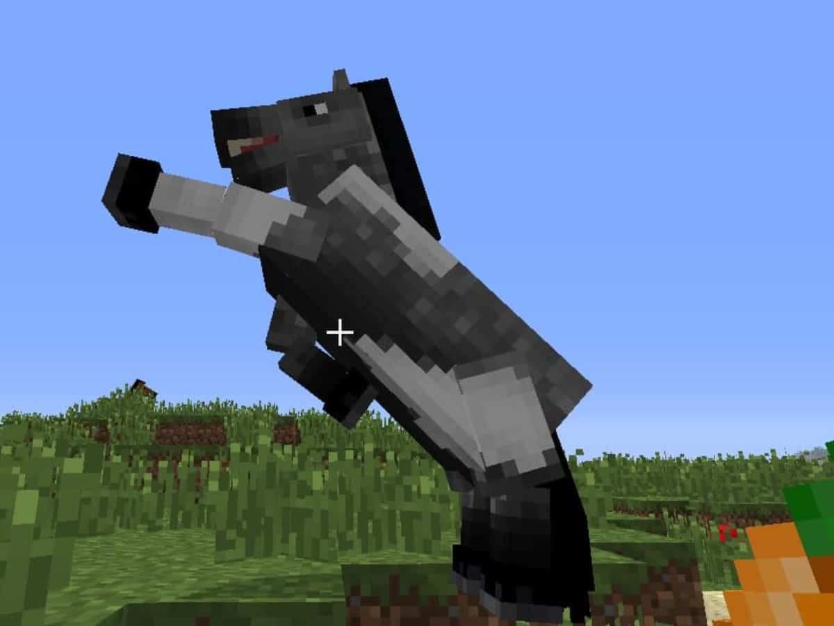 Minecraft Horses, black horse, grassy field, SD Desktop Wallpaper