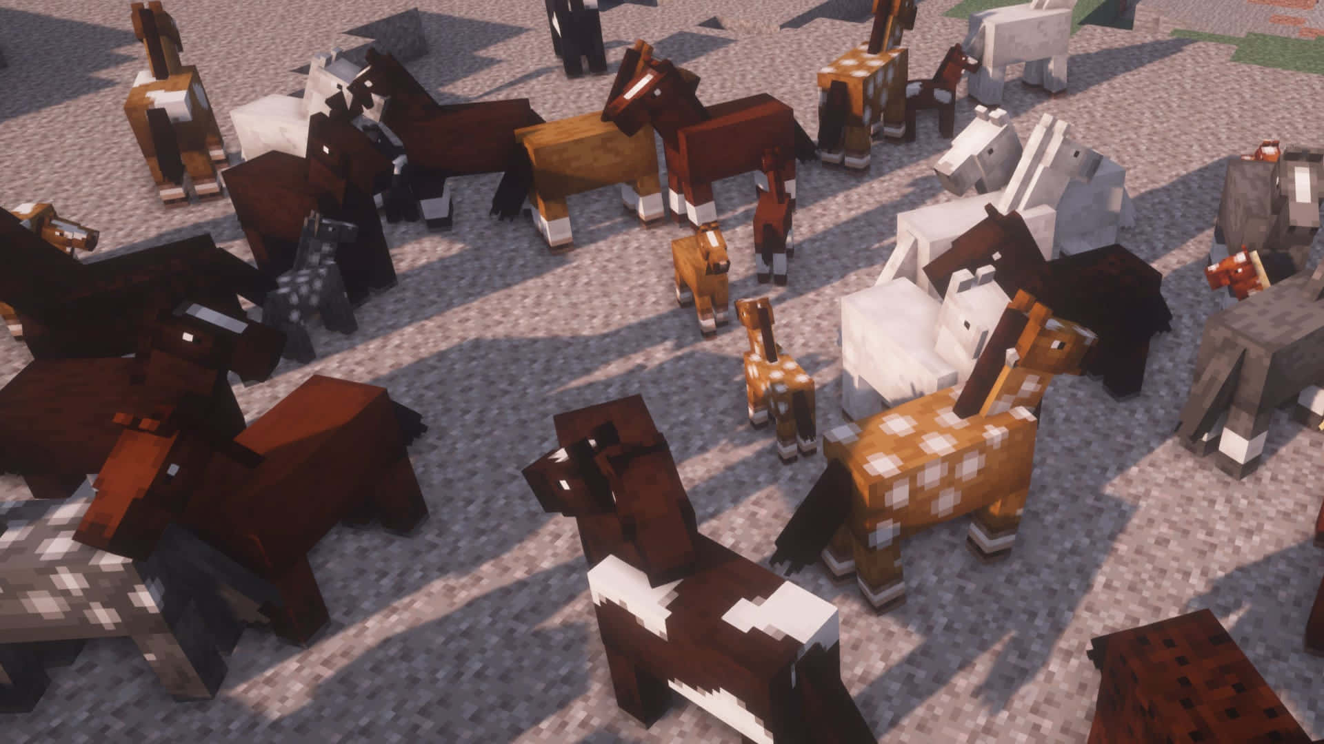 Minecraft Horses, pixelated, gravel surface, Full HD Desktop Wallpaper