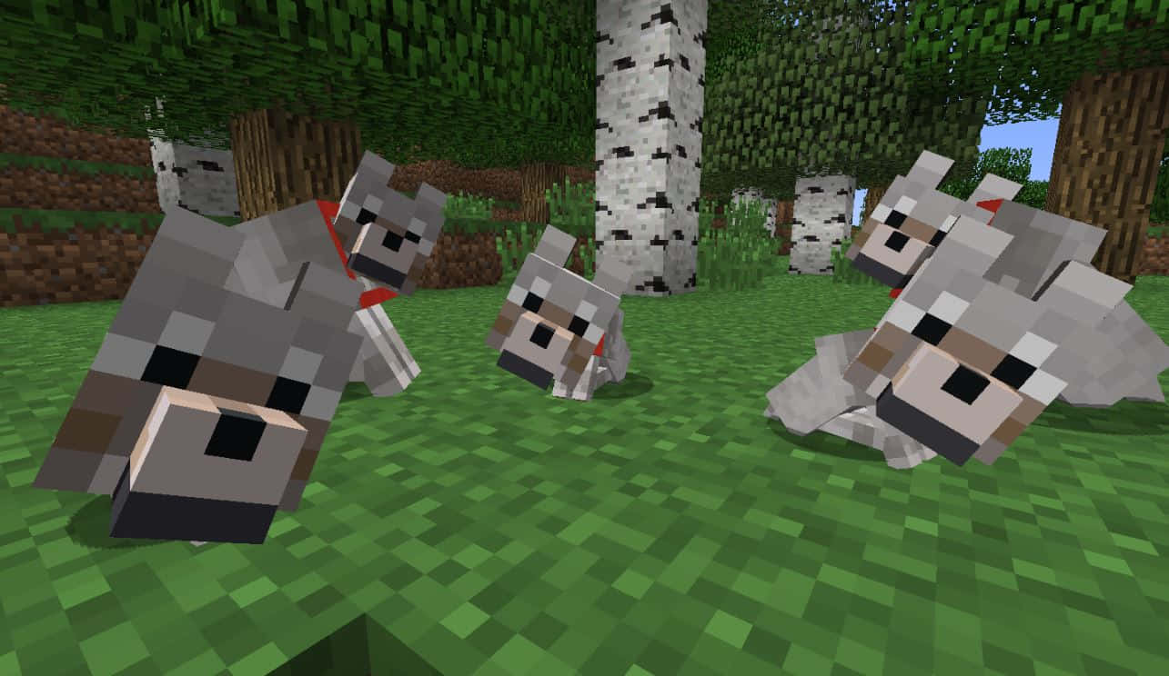 Minecraft, dog, horse, HD Desktop Wallpaper