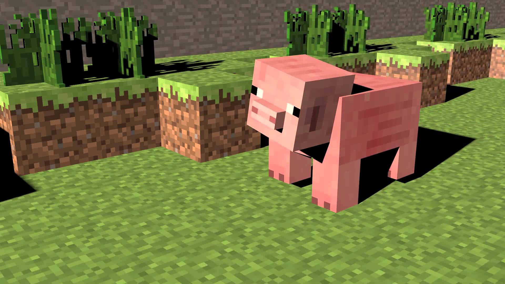 Minecraft, pink pig, green grass blocks, Full HD Desktop Wallpaper