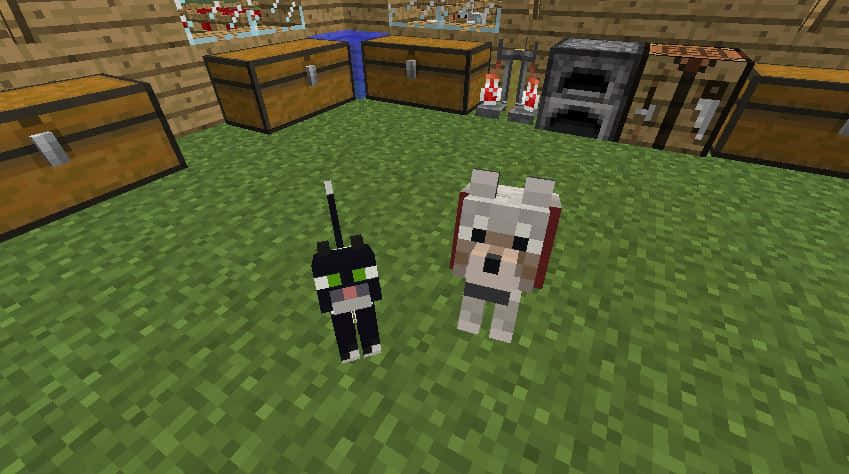 Minecraft, Minecraft player, Minecraft dogs, SD Desktop Wallpaper